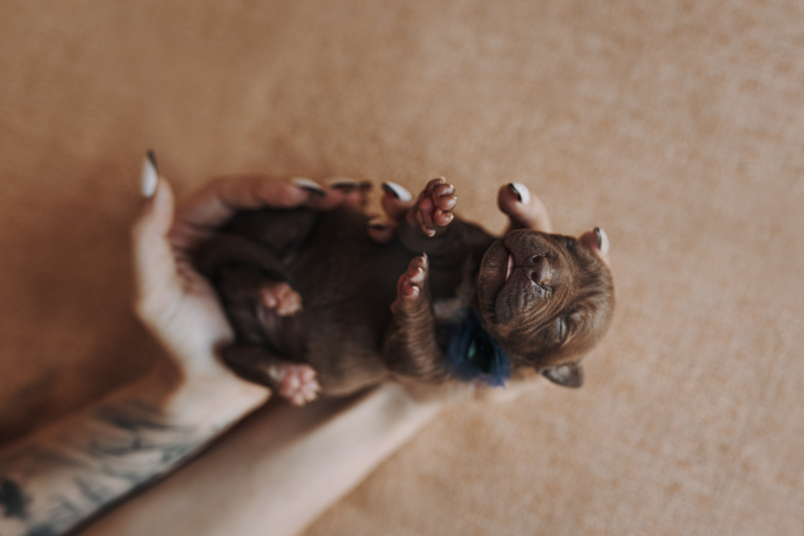 Прайтеры. Фотограф анималист Осипчикова Мария