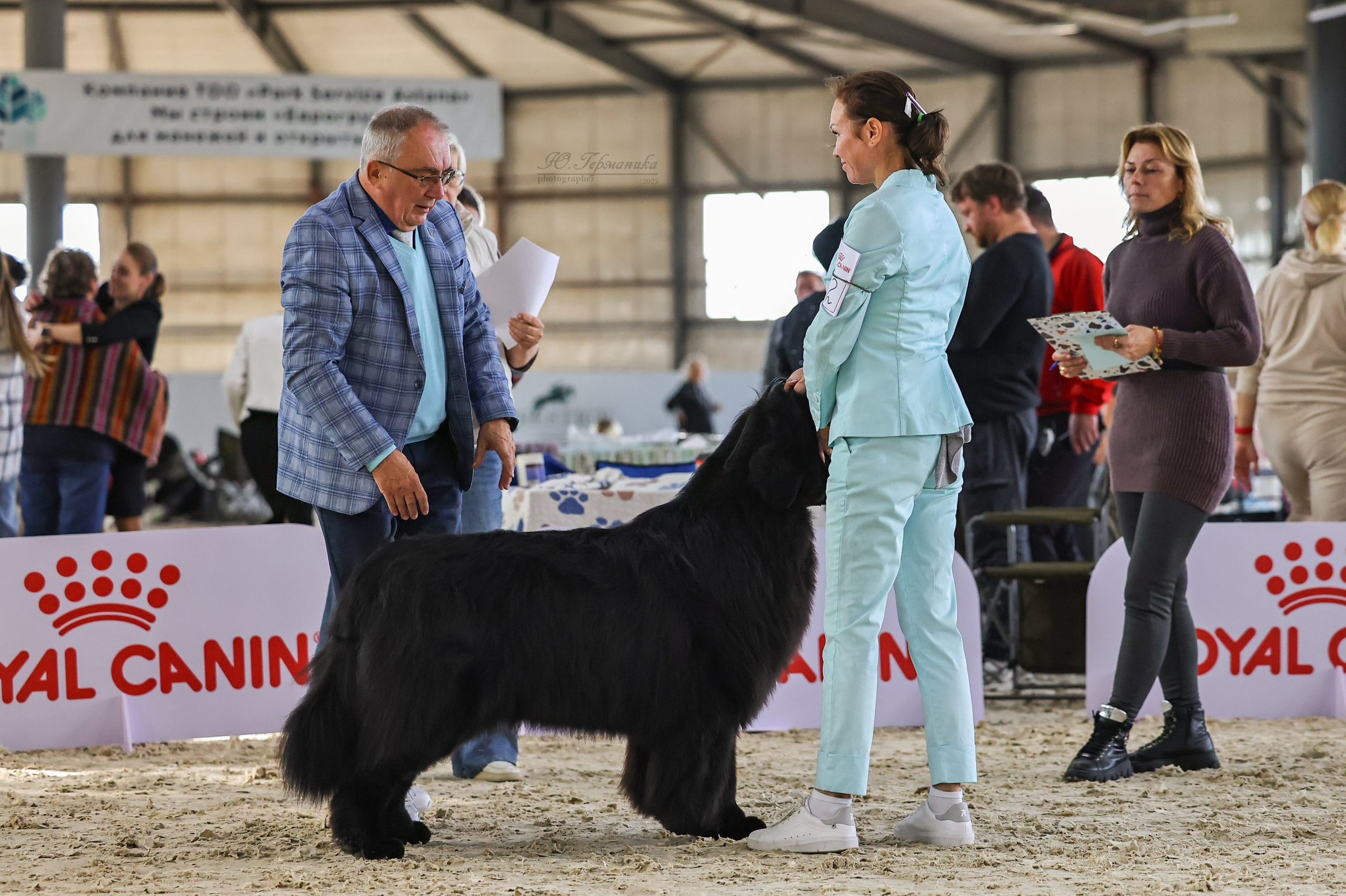 Астана 2хCACIB 26-28.09.2025. Фотограф-анималист Юлия Германика