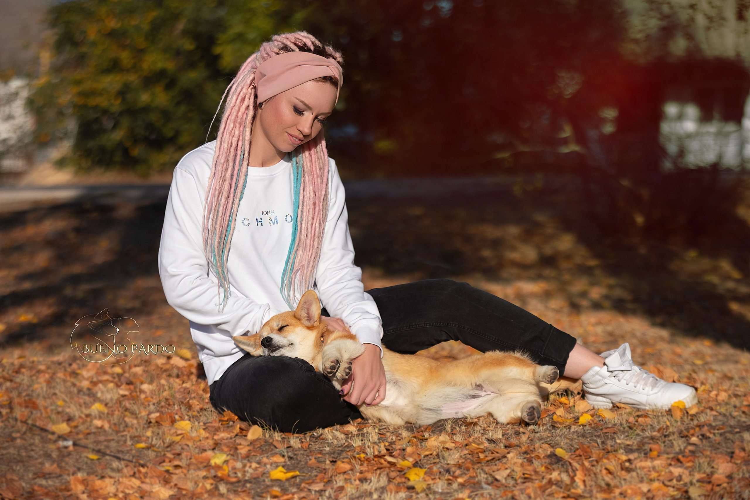 Щенки вельш корги пемброк из питомника. Питомник собак Акита, Хаски, Корги