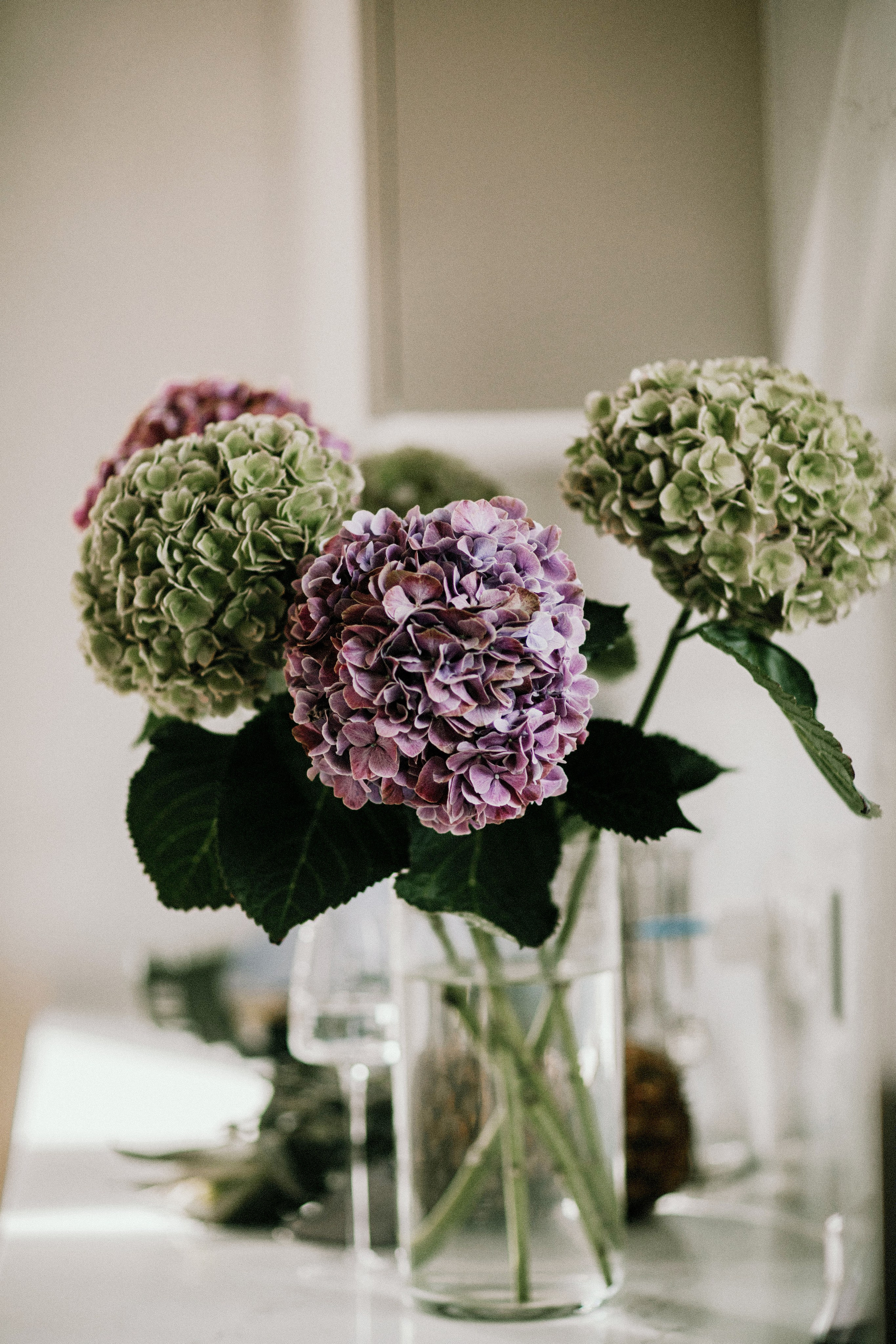 Семья Димы и Салты. Семейный и детский фотограф в Санкт-Петербурге Юлия Суркова