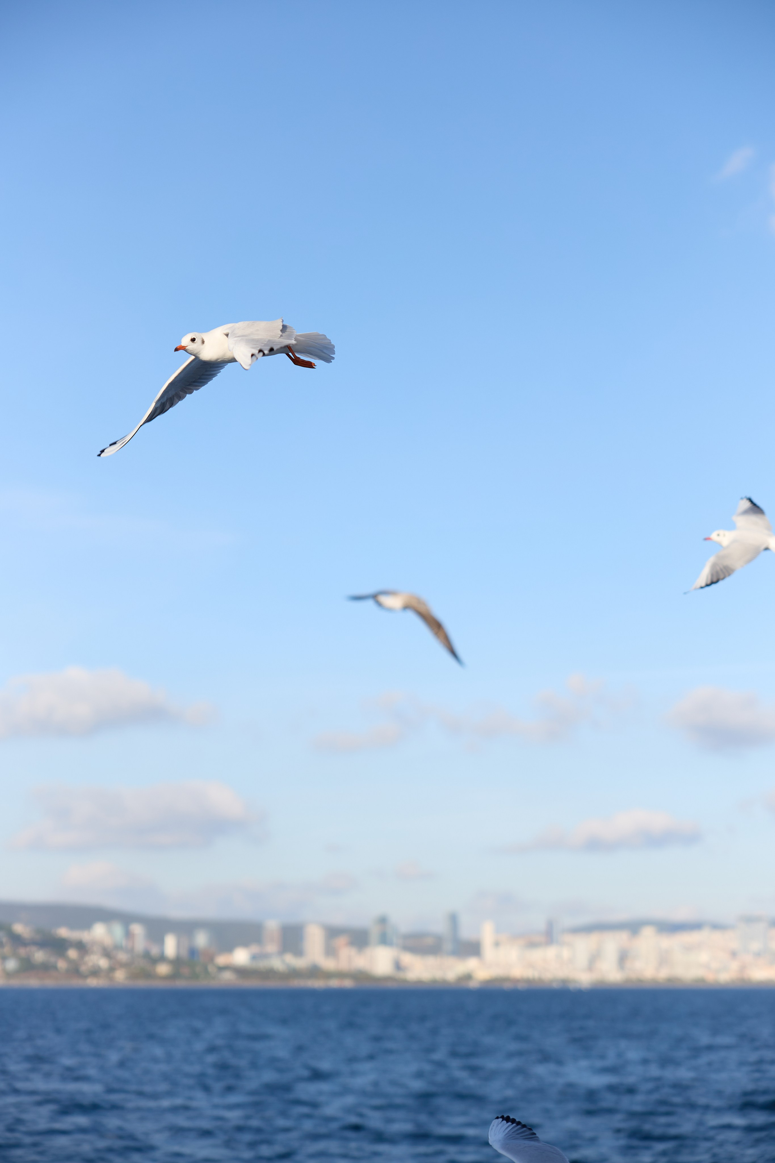 Стамбул 24. Фотограф Москва, Дима Пеллер