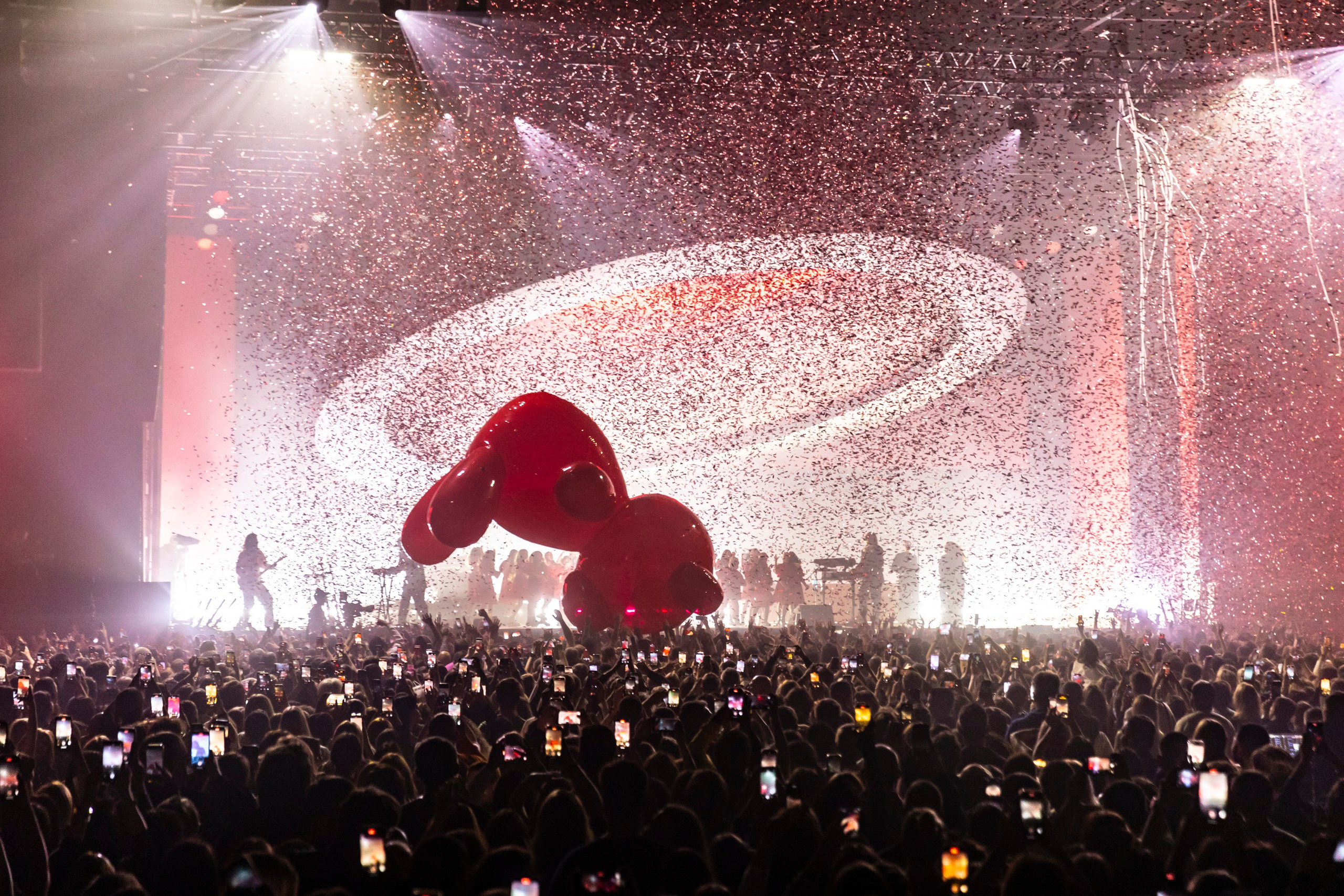 Моя Мишель / 2025. OOPS