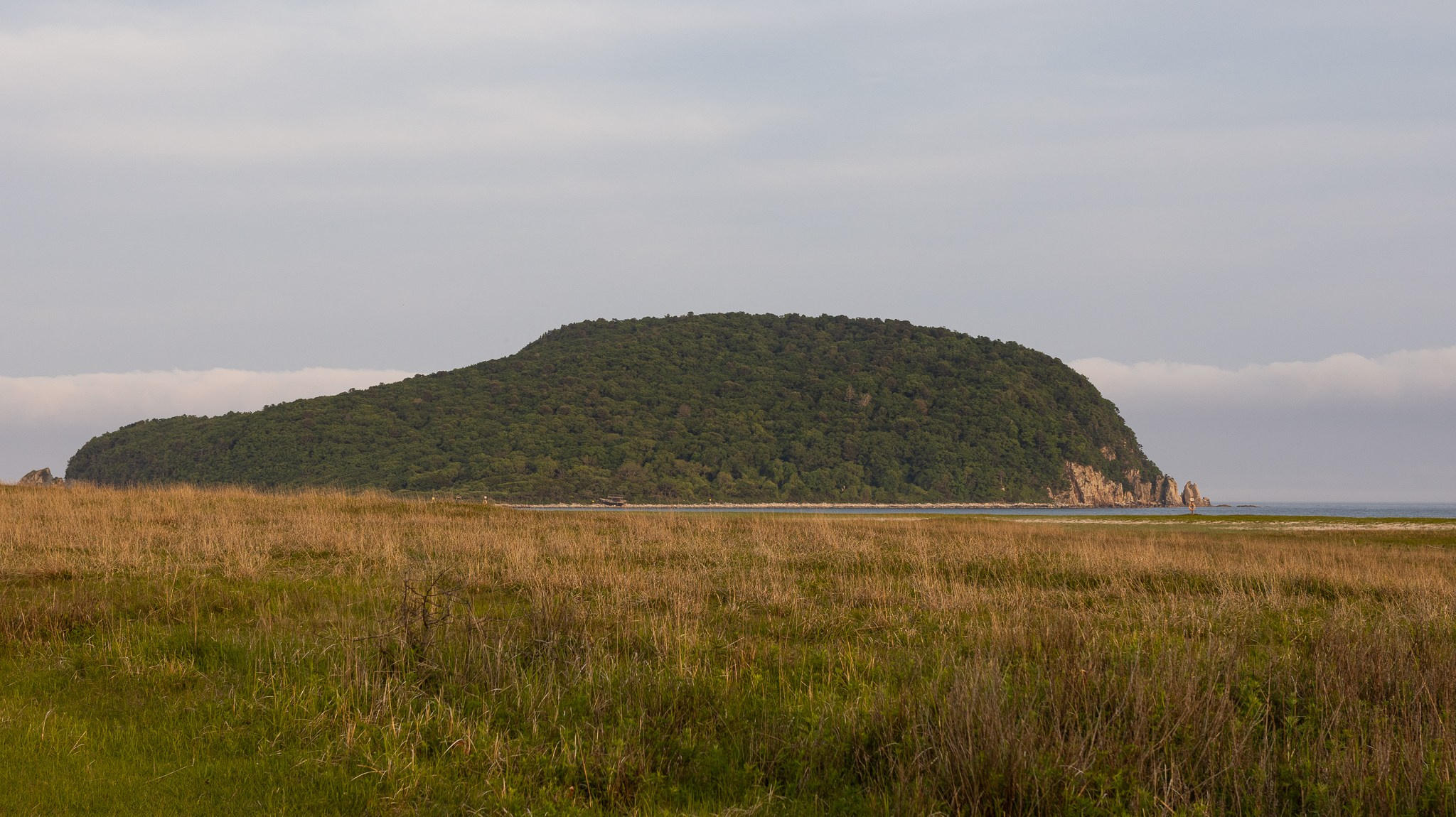 Остров Петрова № 1. Константин Кириченко