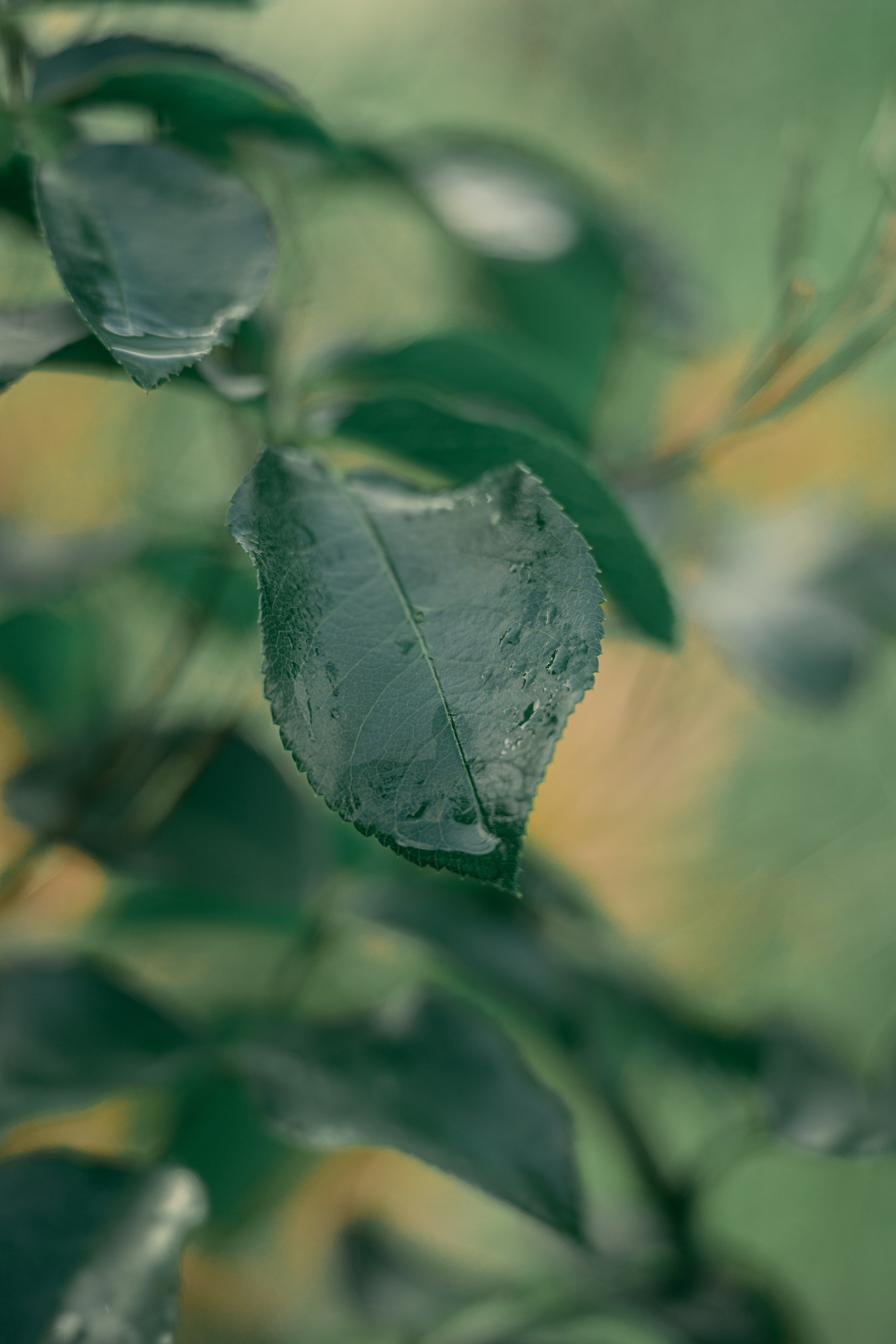 ATMOSPHERE. Фотограф Юрина Ксения Москва