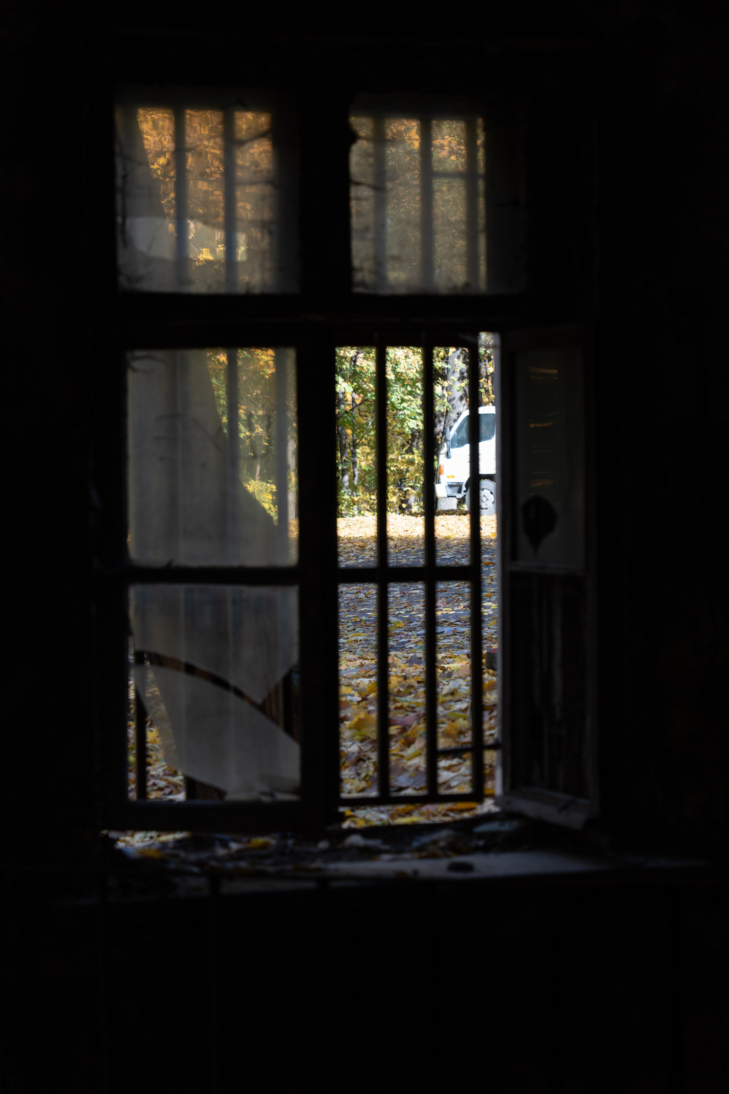 20251012 МГУ. Дмитрий Ремизов. Фотография, как хобби