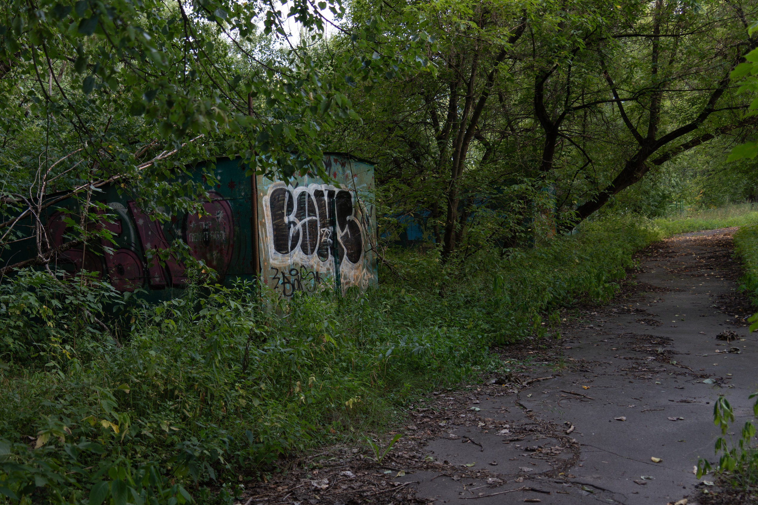 20250817 Измайлово. Дмитрий Ремизов. Фотография, как хобби