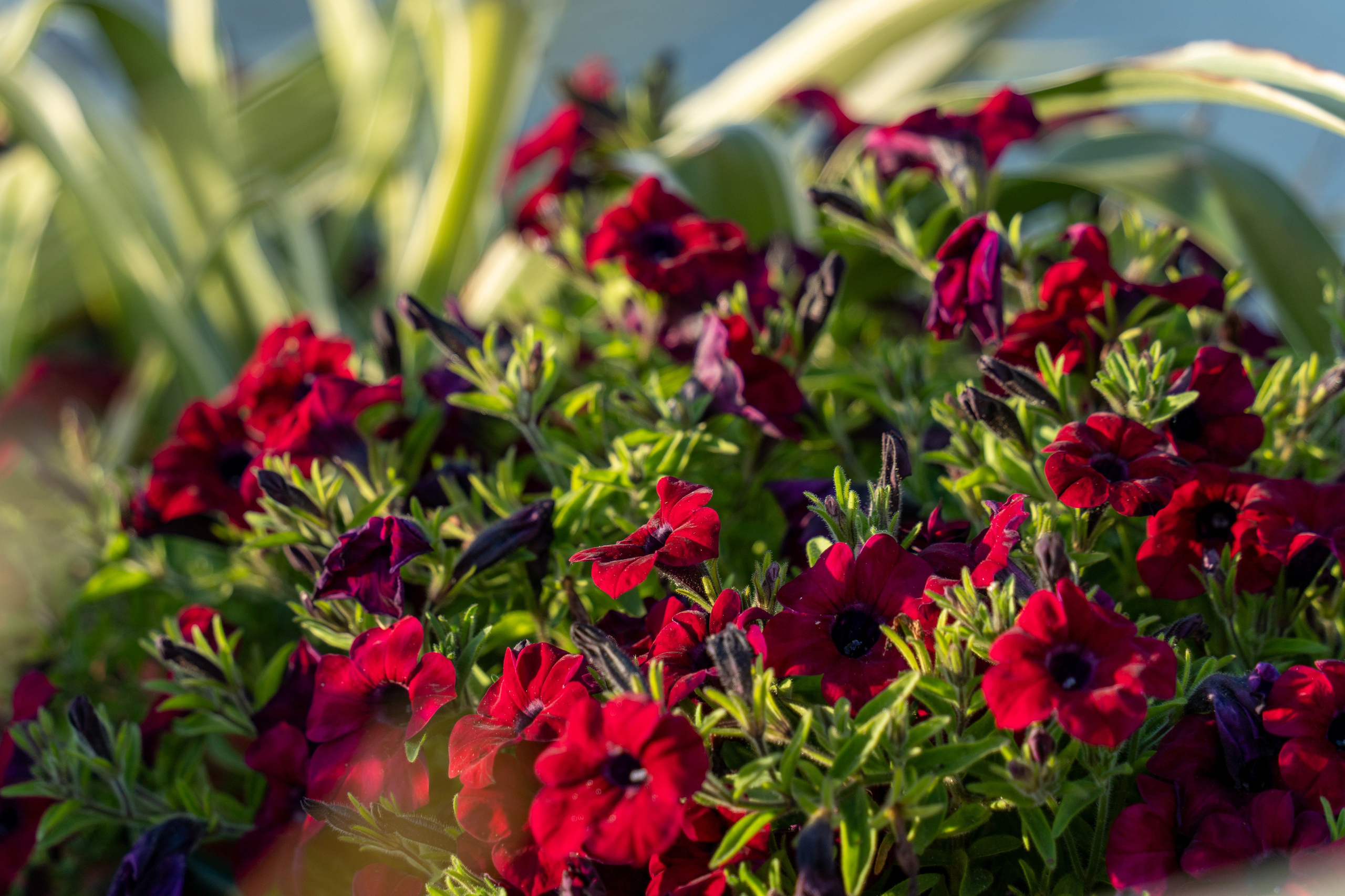 20250830 Полянка — Арбатская. Дмитрий Ремизов. Фотография, как хобби