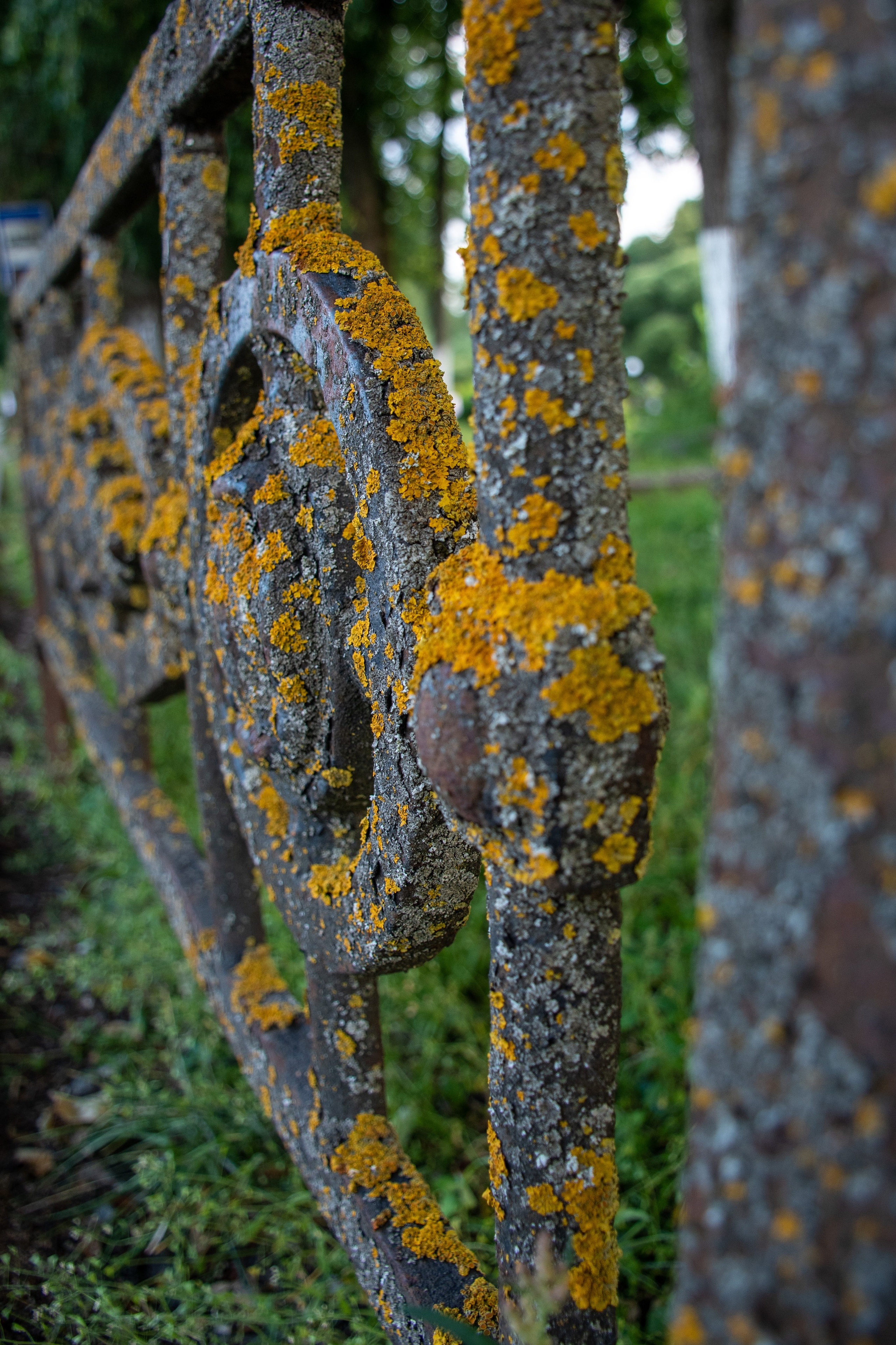 20220802 Вязьма. Дмитрий Ремизов. Фотография, как хобби
