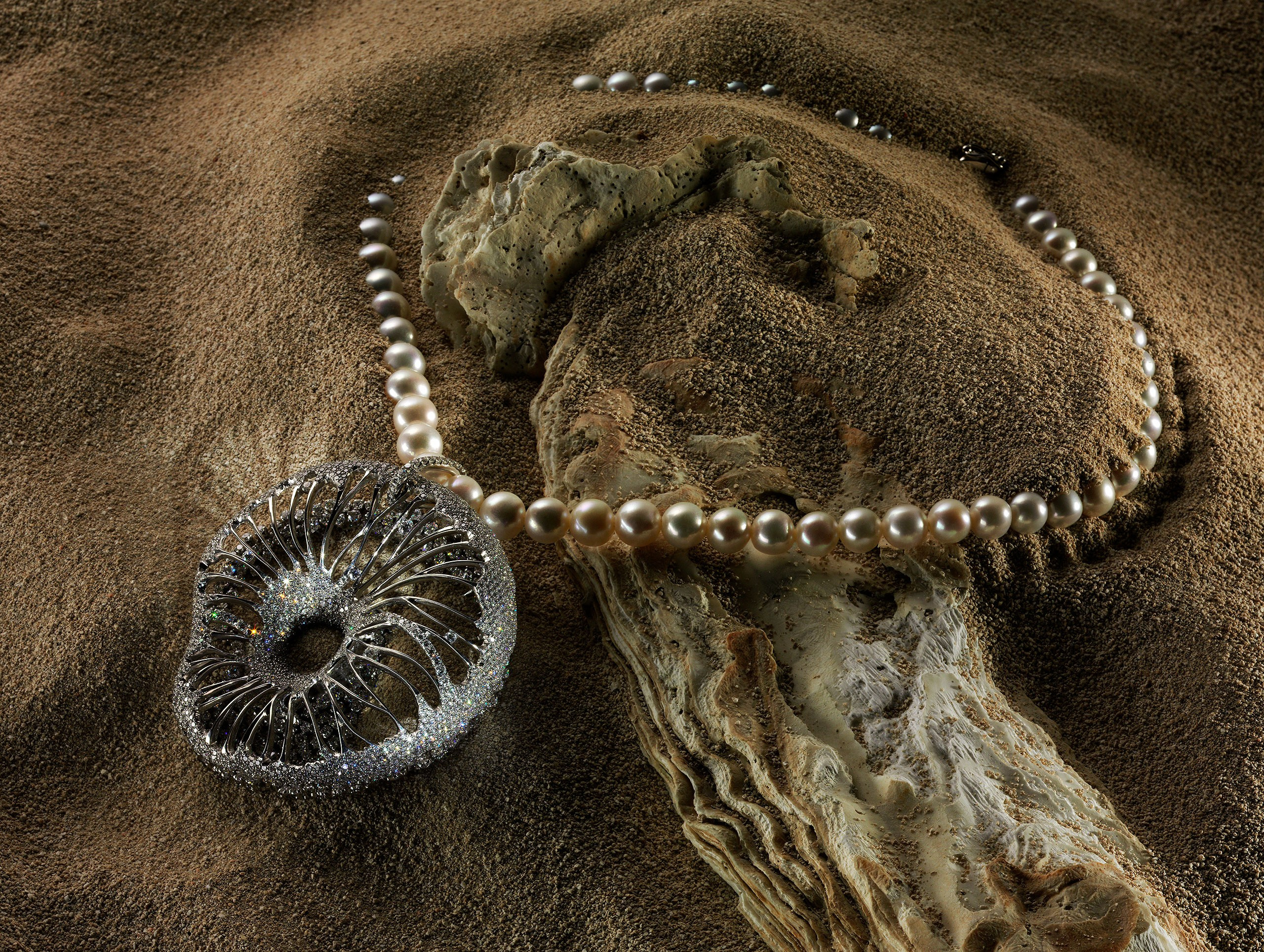 Портфолио. Фотостудия Игоря Сахарова (Санкт-Петербург)