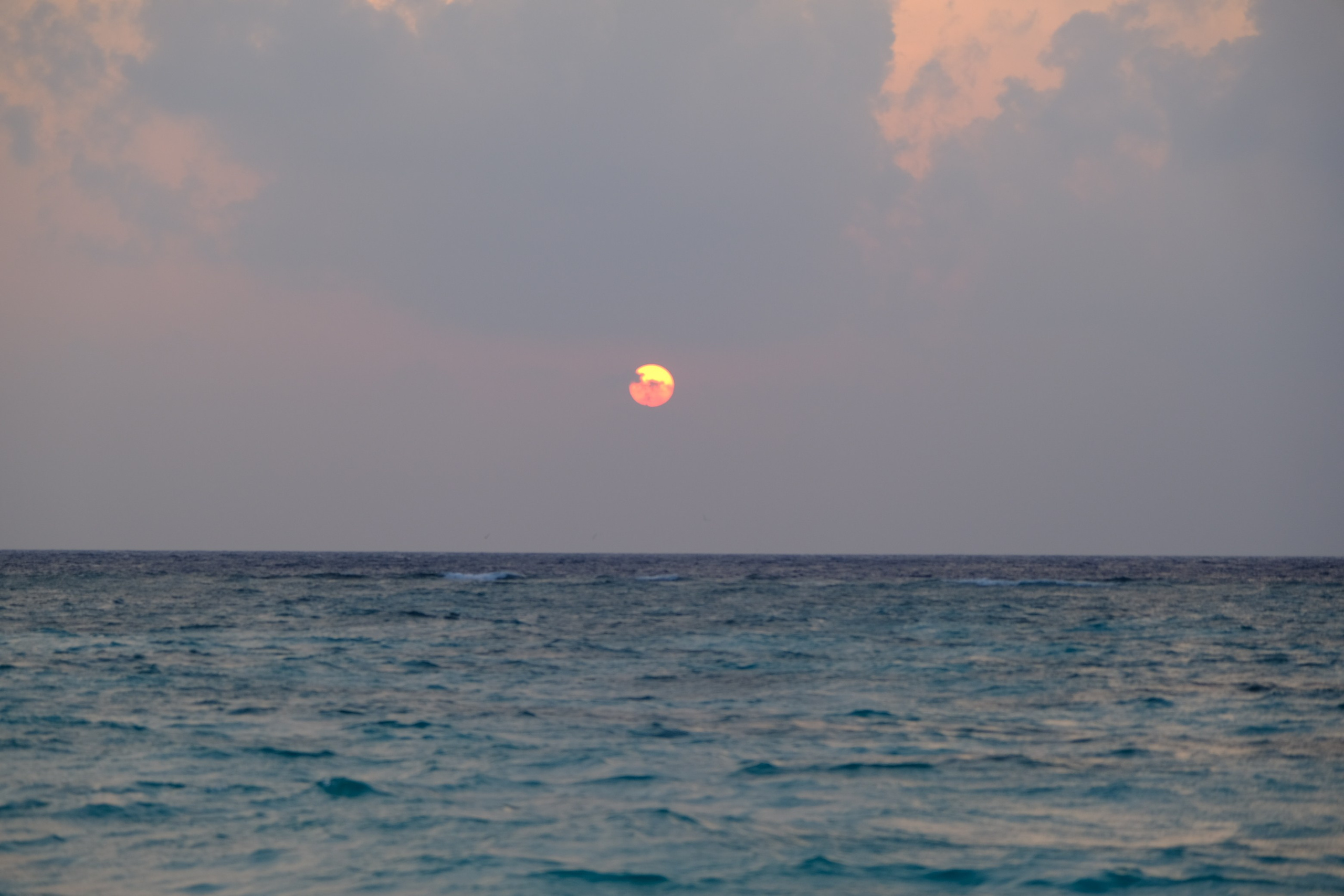 Фотограф Мельник Ирина. Москва