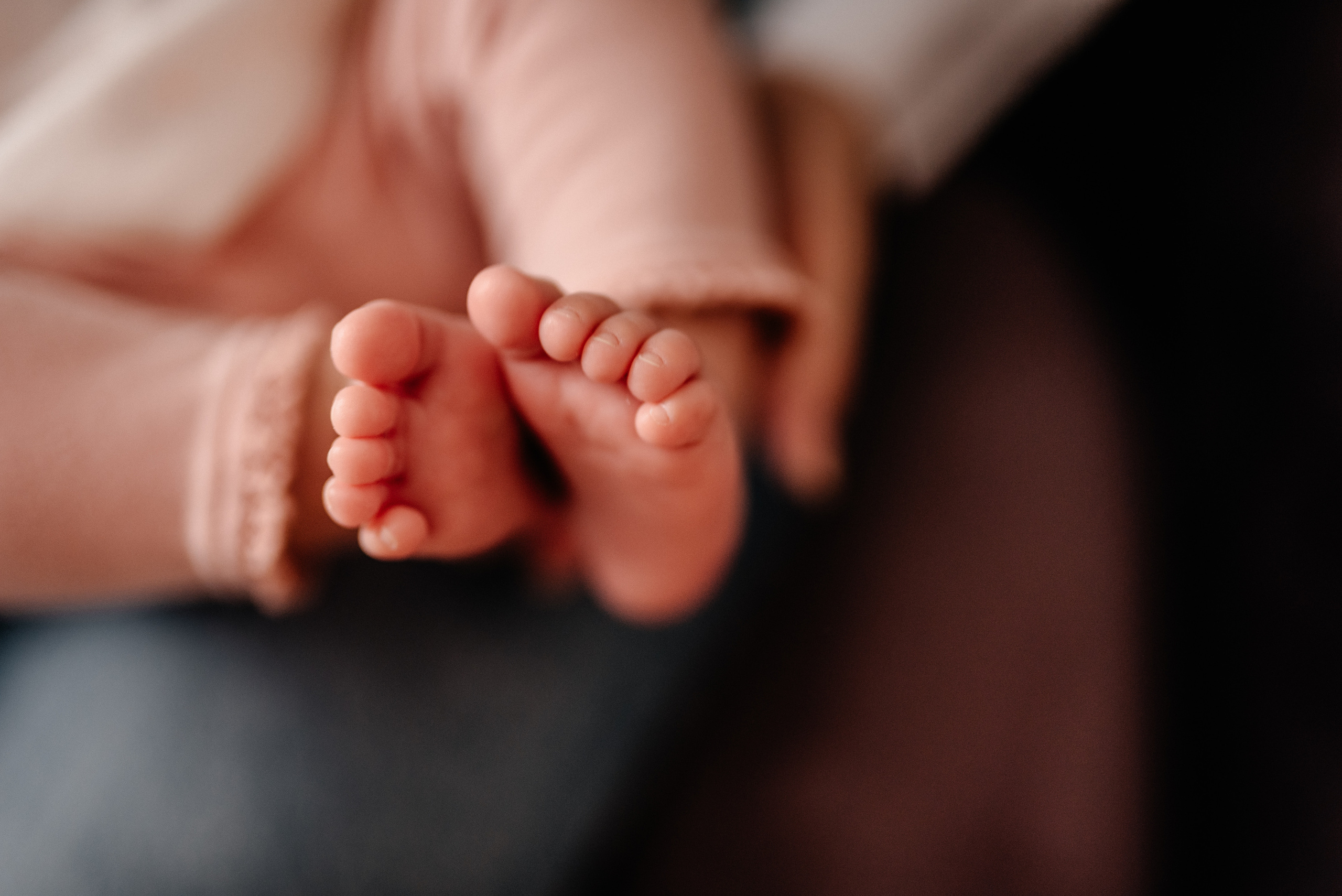 Услуги. Главная