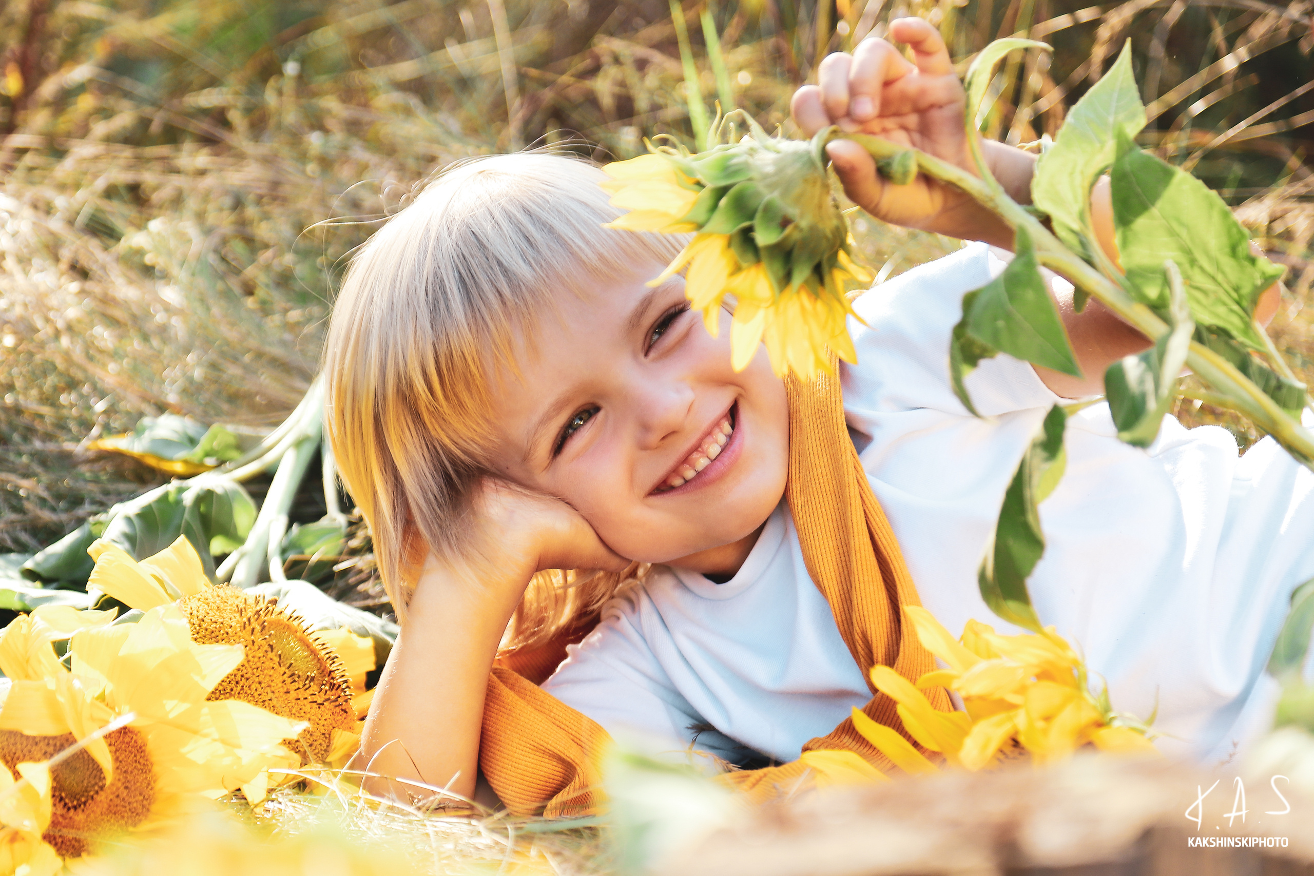 Лето. Подсолнухи. Фотография и видеосъёмка
