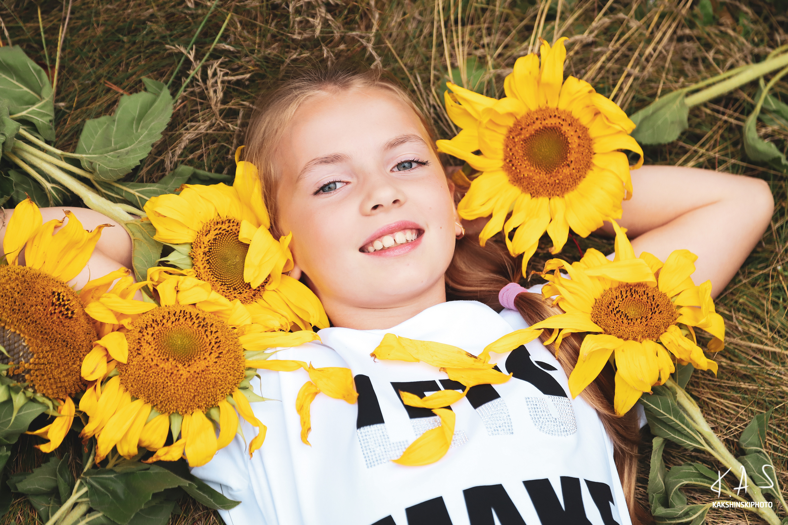 Лето. Подсолнухи. Фотография и видеосъёмка