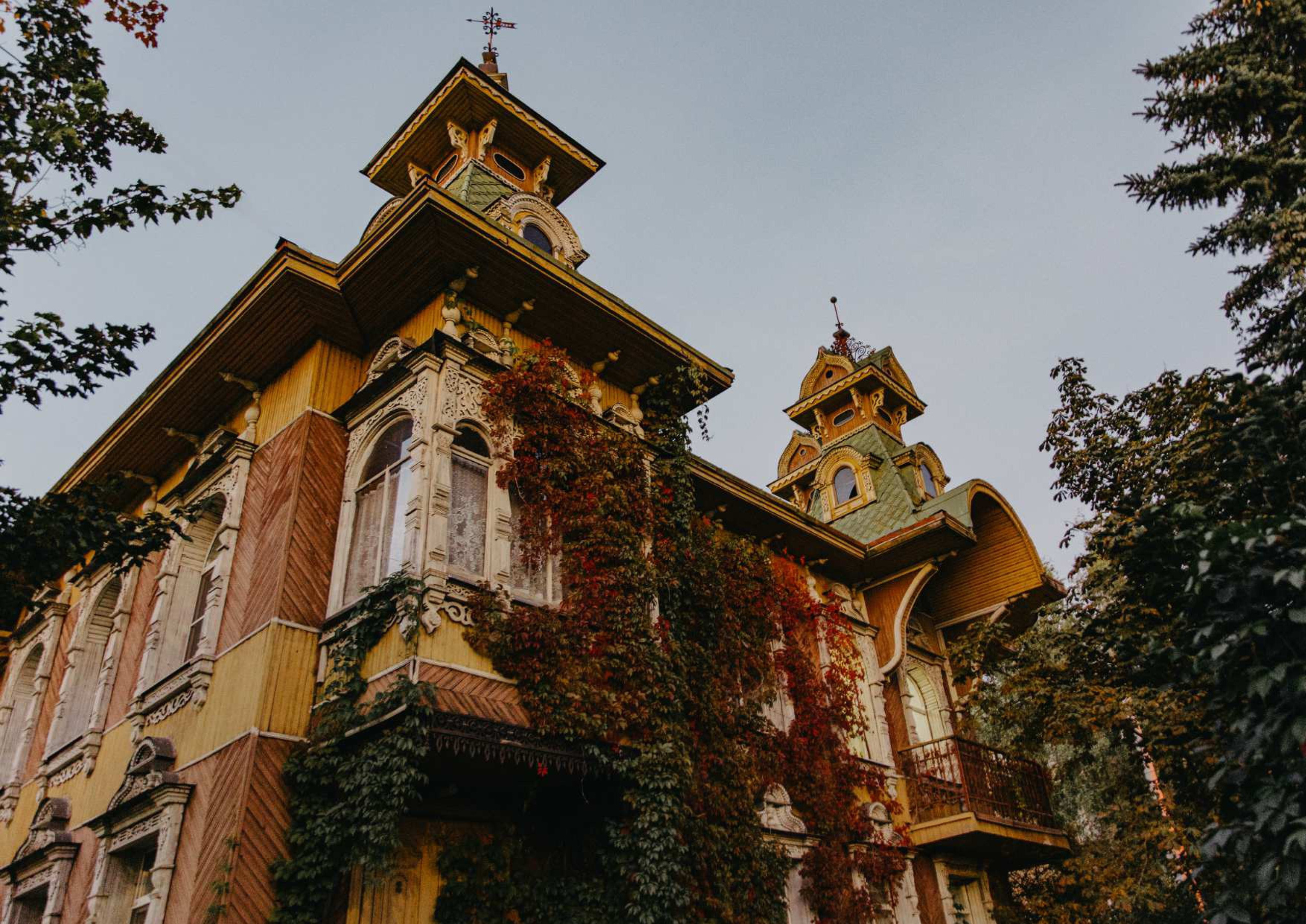 ФОТОАЛЬБОМ. НОВЫЕ ИМПРЕССИОНИСТЫ