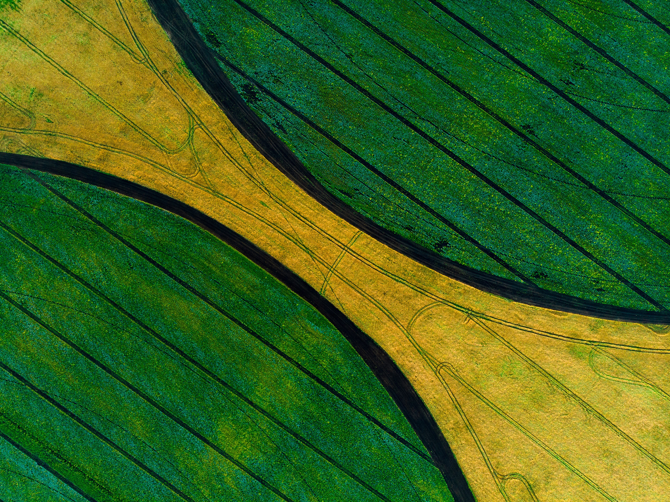 Селиваново. Николай Брытков — фотограф в Туле