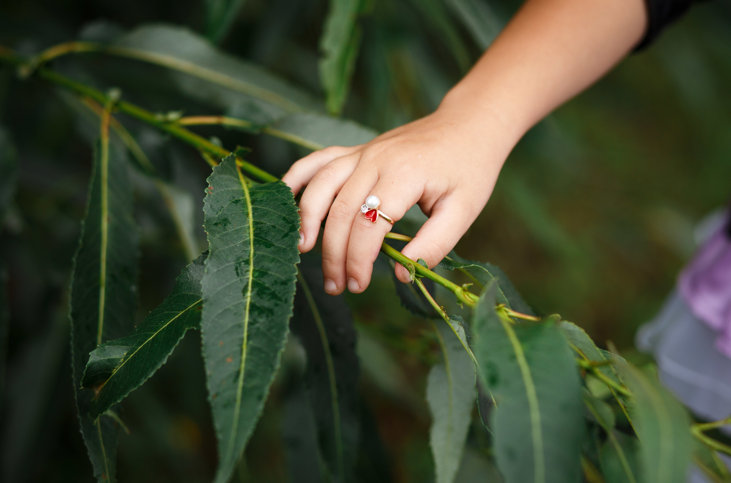 Семья и дети. Свадебный и семейный фотограф в Несвиже Ксения Самойлик
