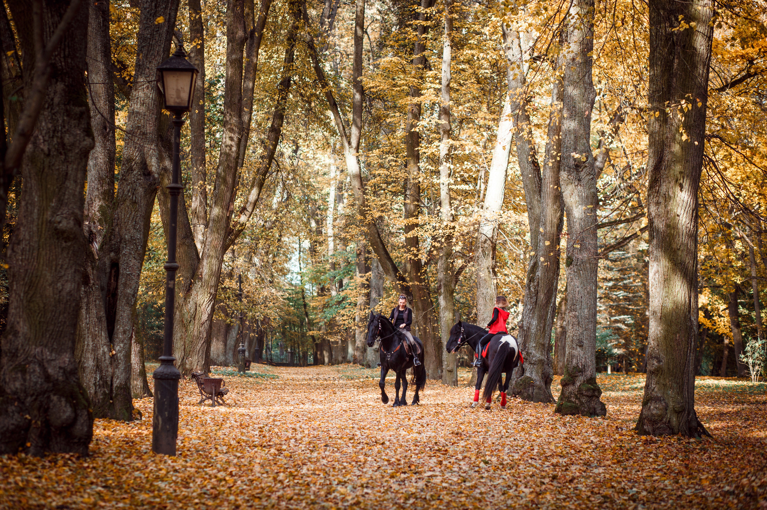 Индивидуальная съёмка. Свадебный и семейный фотограф в Несвиже Ксения Самойлик