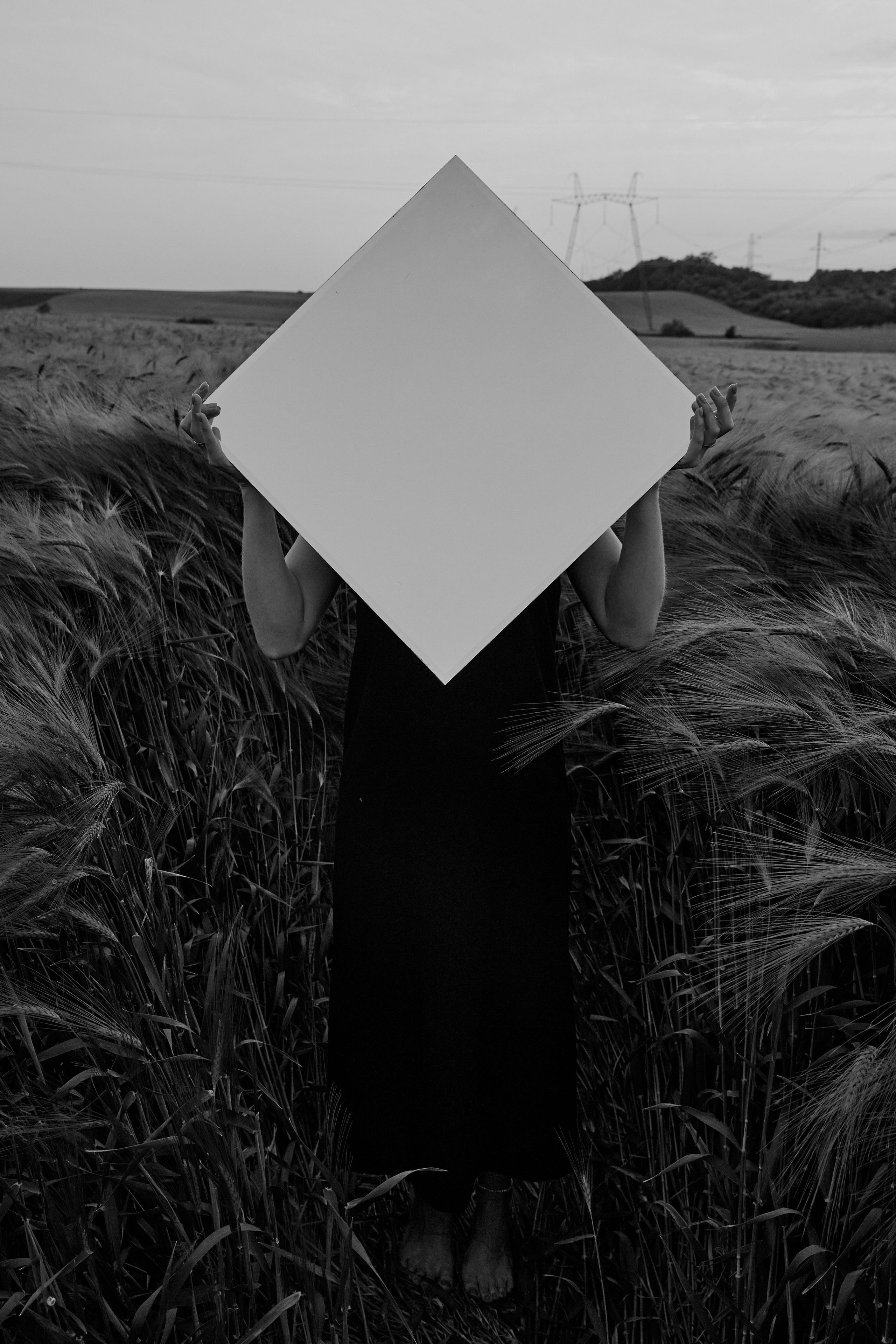 Индивидуальная фотосессия в ржаном поле летом