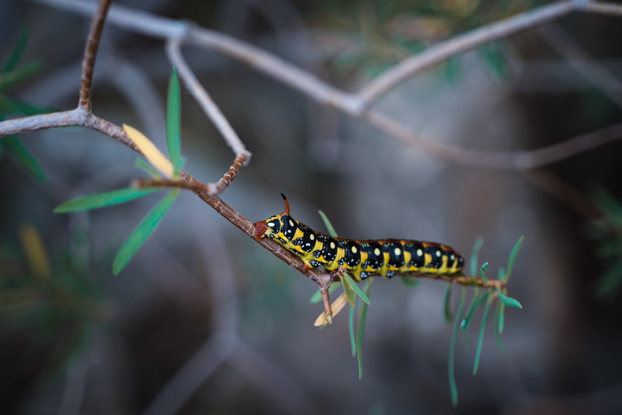 Турция. Западная Ликийская тропа. Фотограф в поход и восхождение на Эльбрус Игорь Косарев