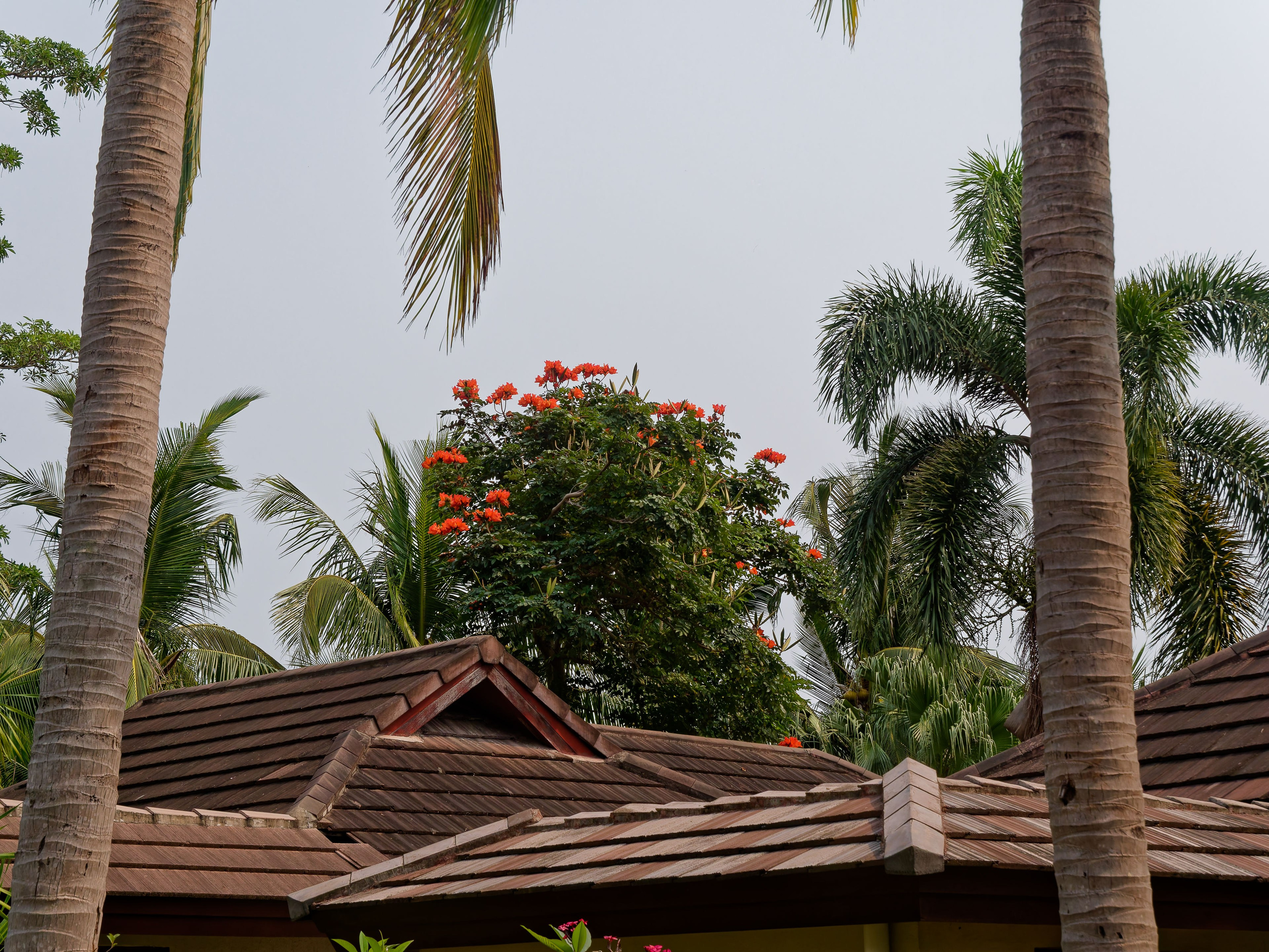 Хайнань 2026, первые впечатления. Фотопрогулки по Миру