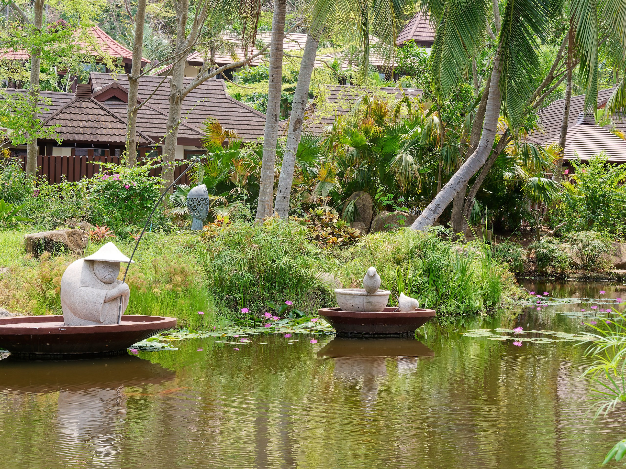 Хайнань 2026, флора, цветы и деревья. Фотопрогулки по Миру