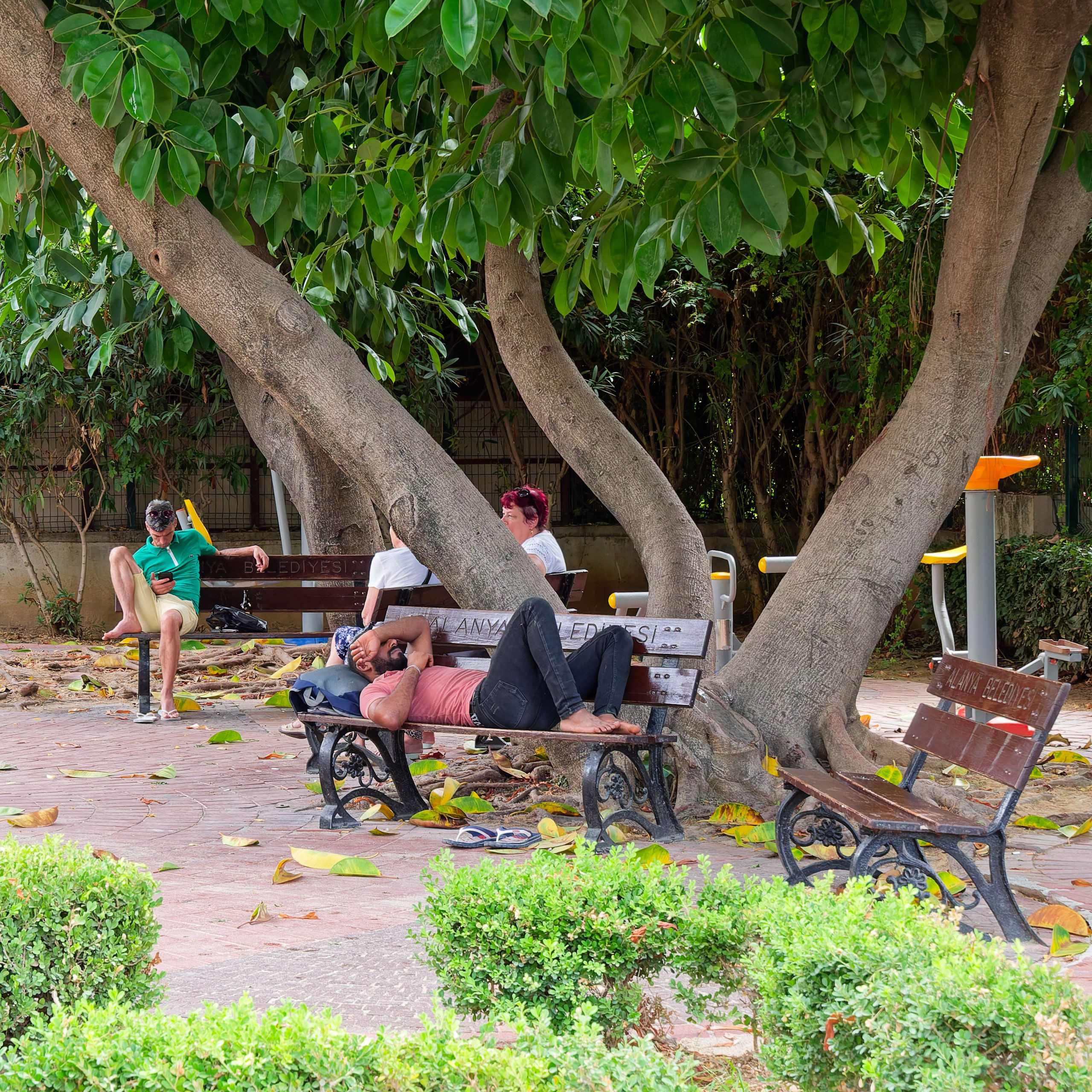 Алания 2025, город, стрит-фото. Избранные фотографии