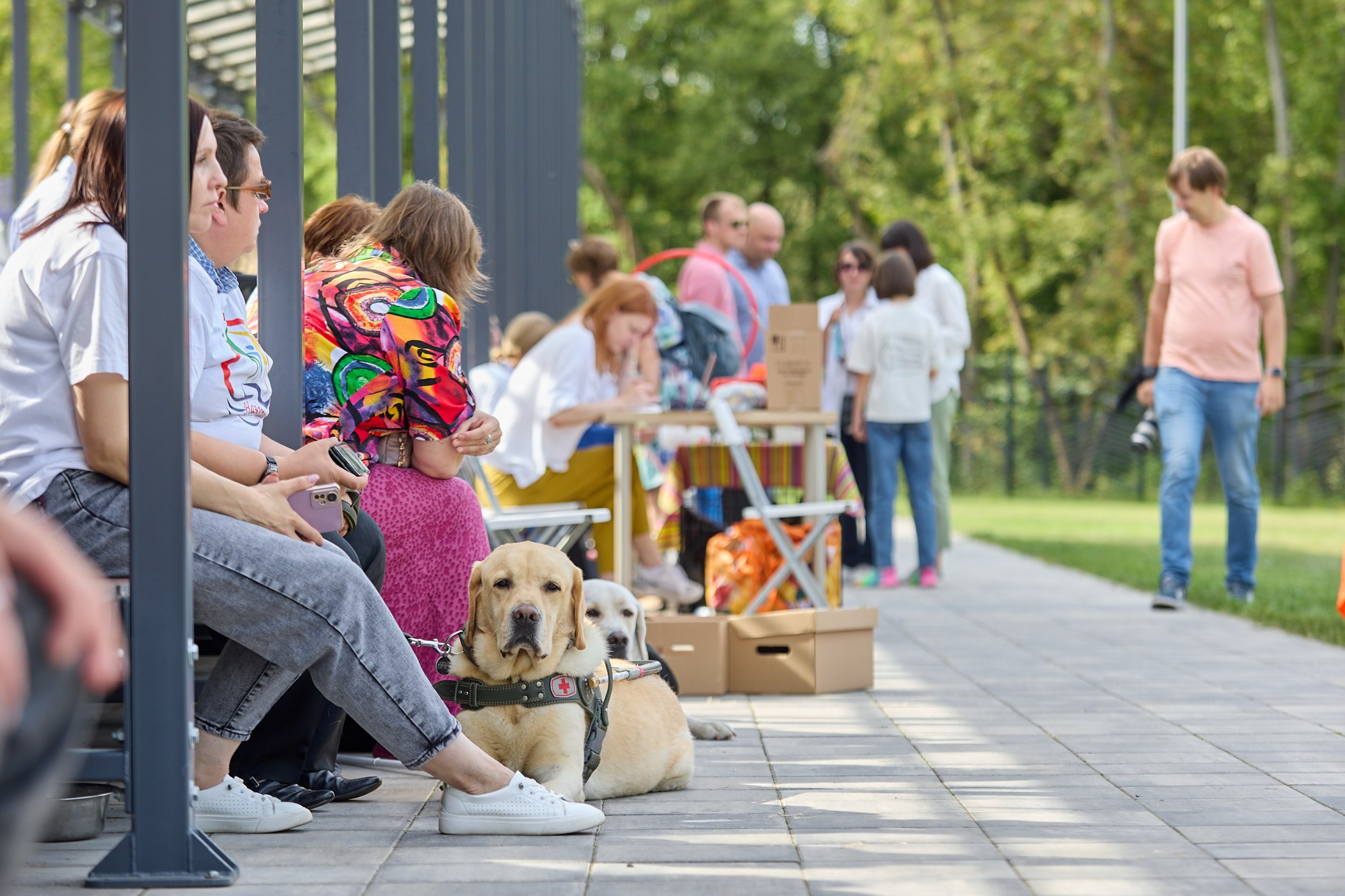 Инклюзивный фестиваль «Три шага к победе». Фотограф Ирина Астор