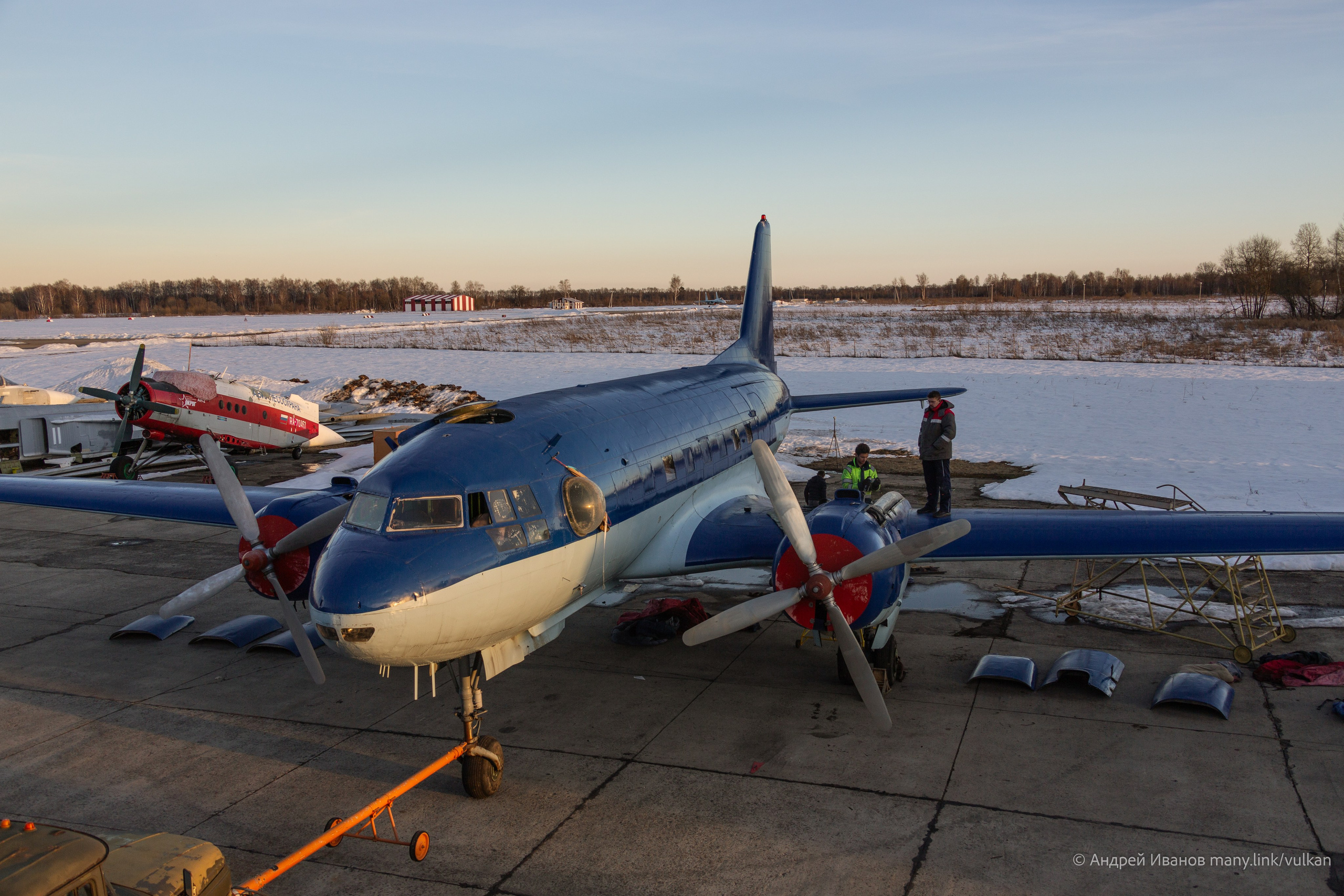 Ил-14Т «Голубая Мечта» (2026 г.). Фотоальбом показывающий увлекательный мир авиации и мир медведей Андрея Иванова