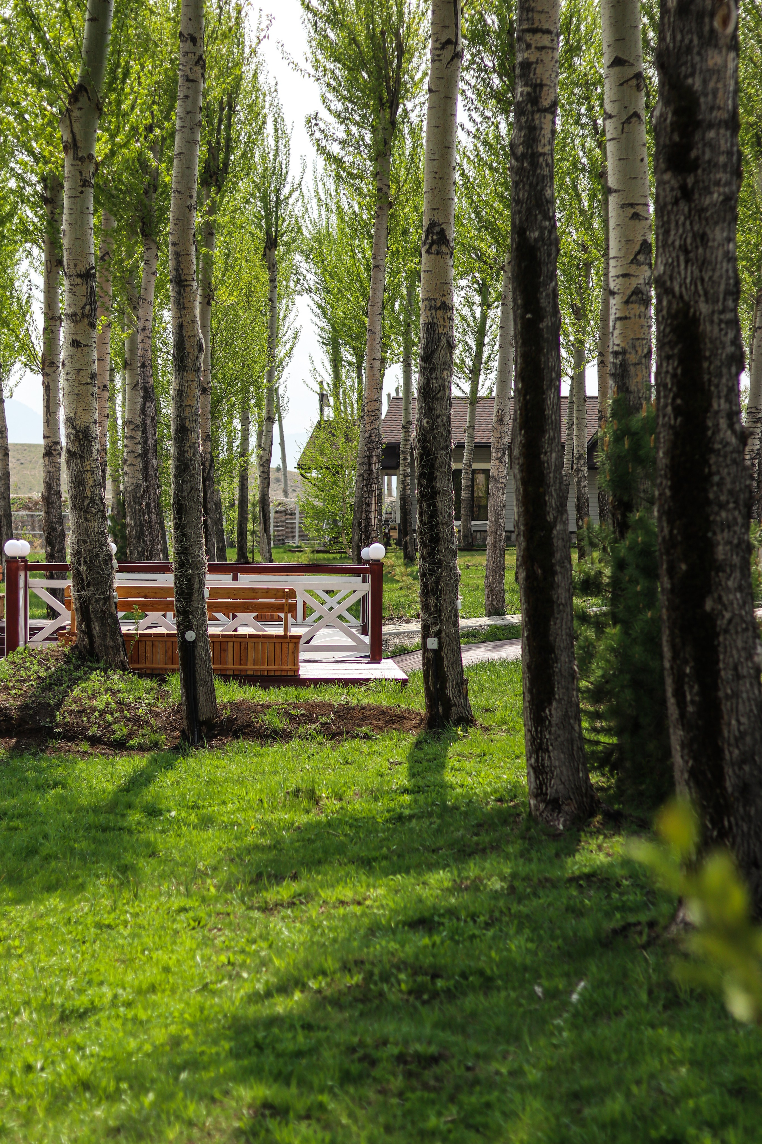 «Каменный ручей» пакрк-отель, с. Старобелокуриха. Контент фотограф Дмитрий Борисов