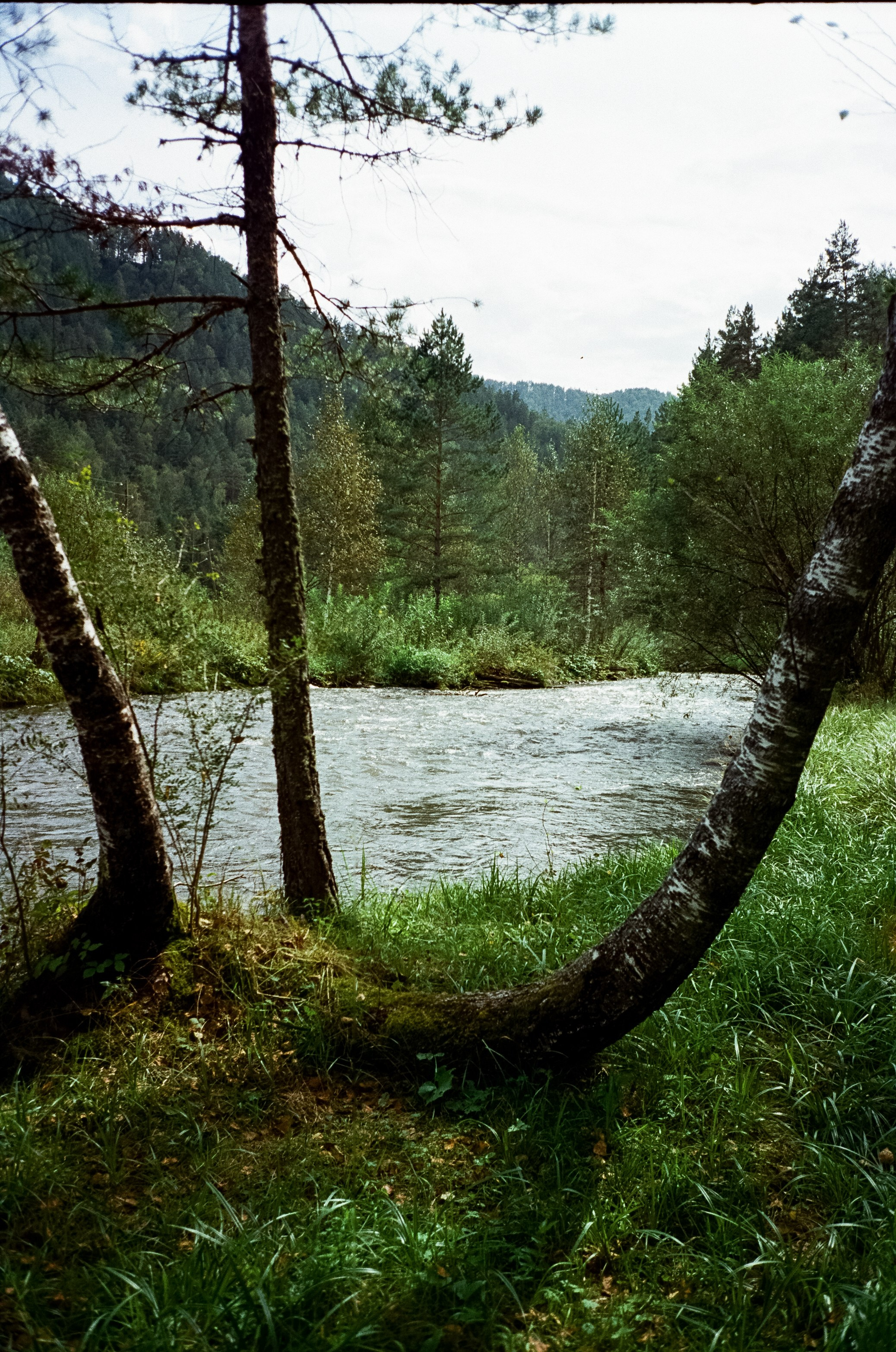 Река Куюм и Благодать. Катунь на Айском тракте. Фотограф-документалист Мария Осокина