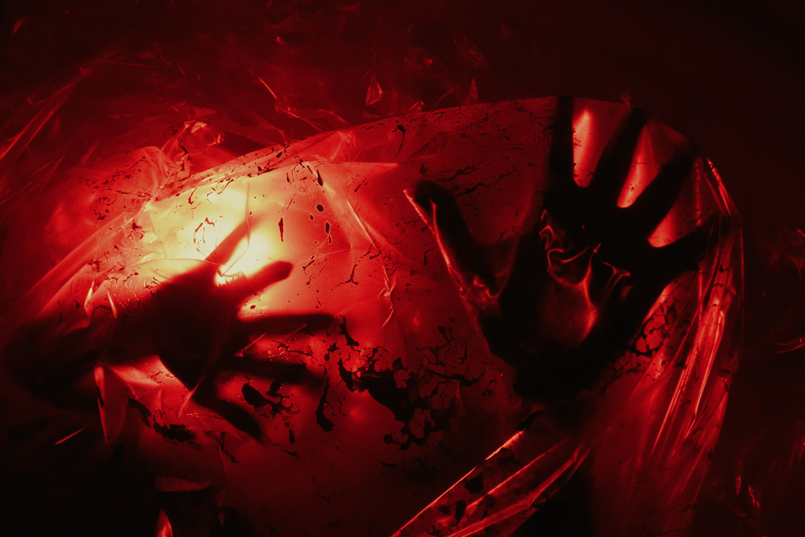 Портретный и концертный фотограф в Санкт-Петербурге Егор Телятников