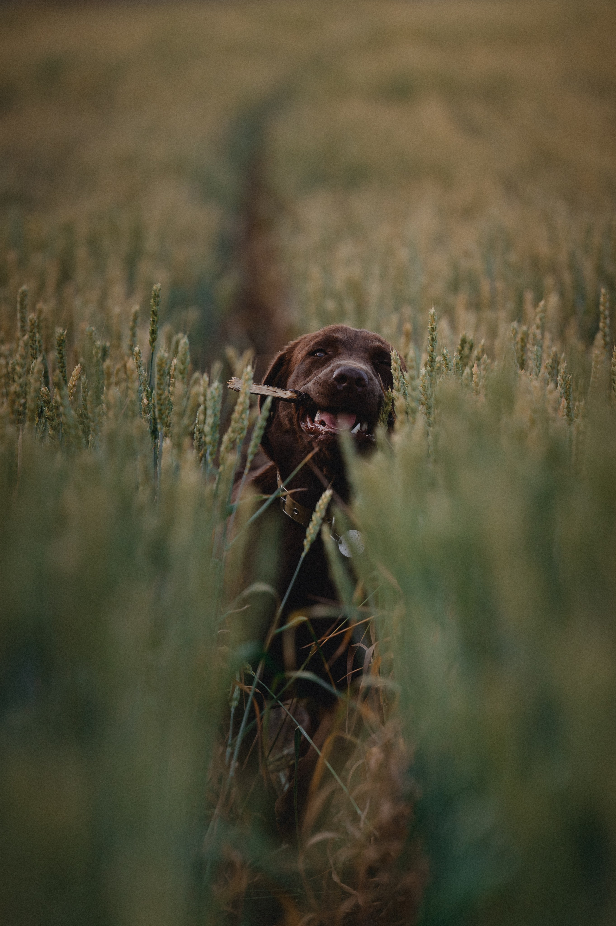 Анечка и Дэя. Фотограф в Ростове —на — Дону