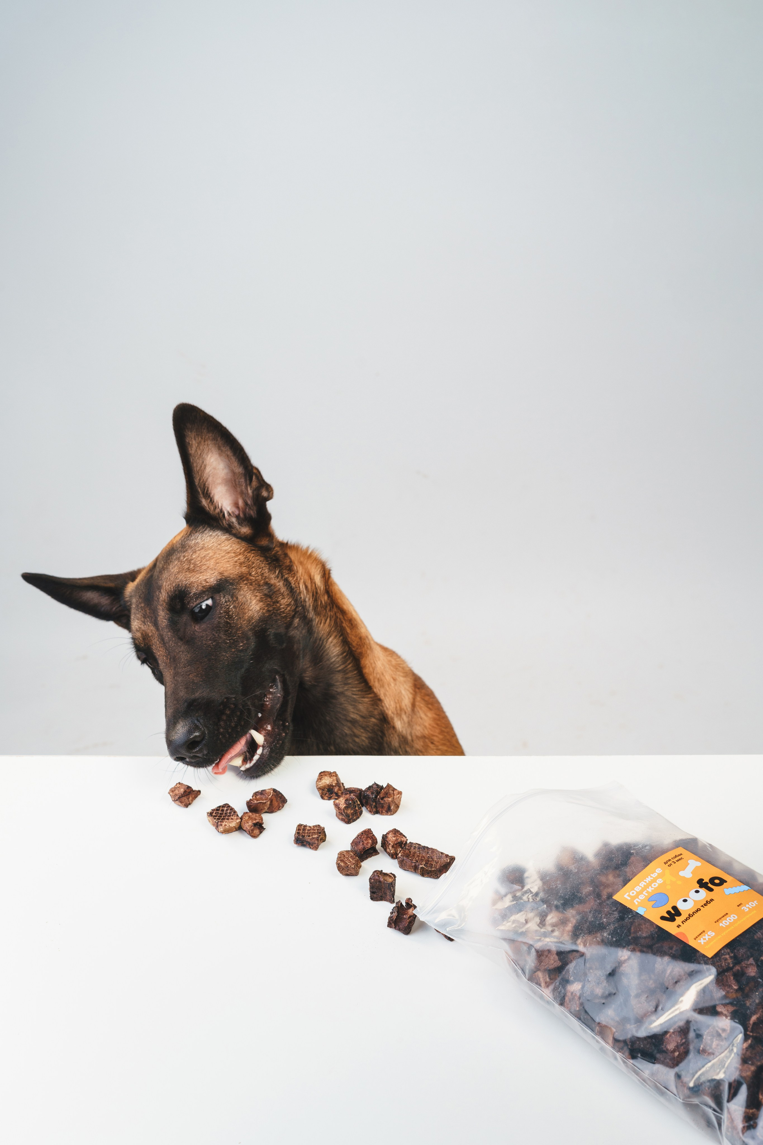 Лакомства Woofa. Фотограф анималист Осипчикова Мария
