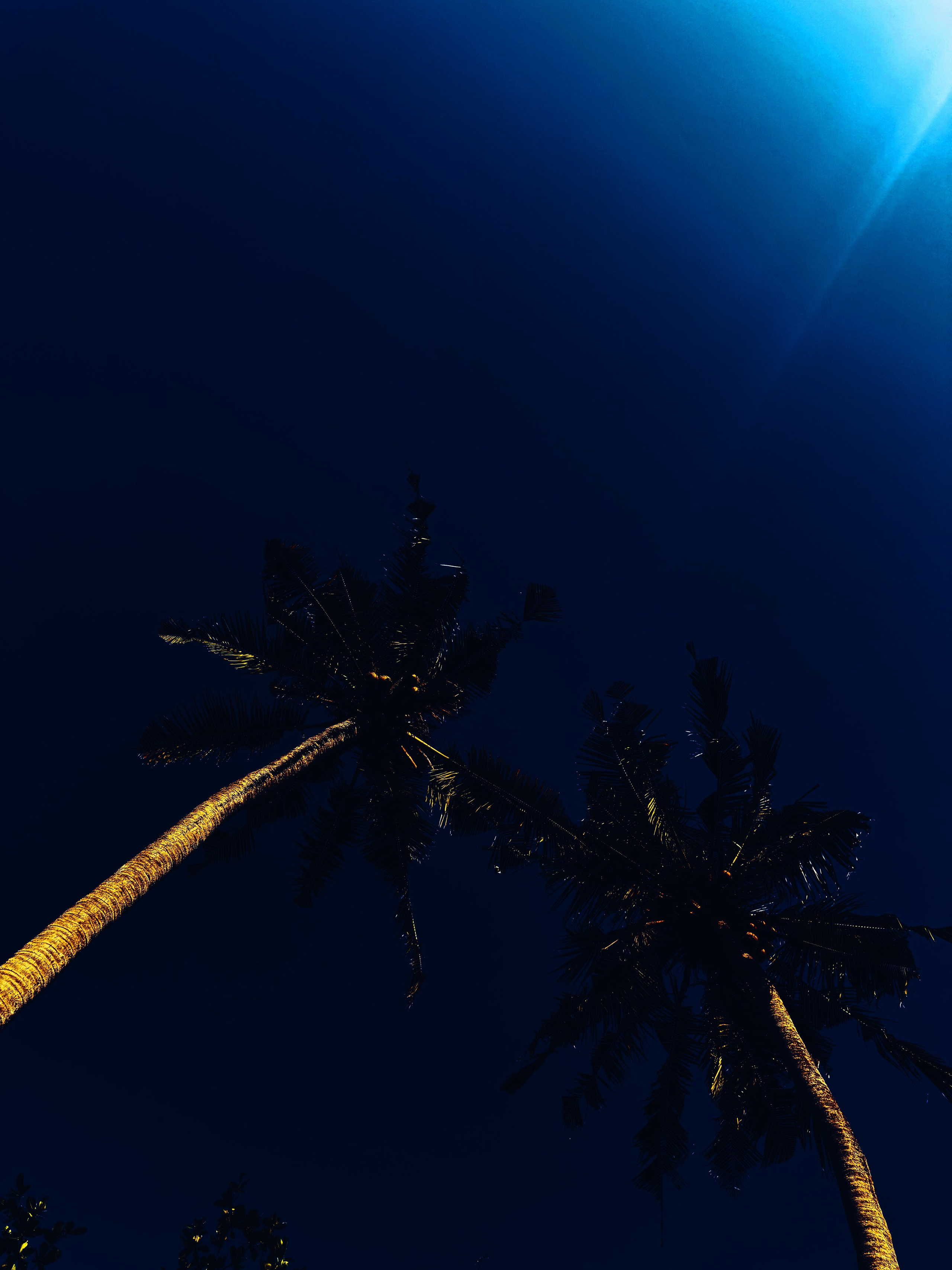 Elements. Carolinetru