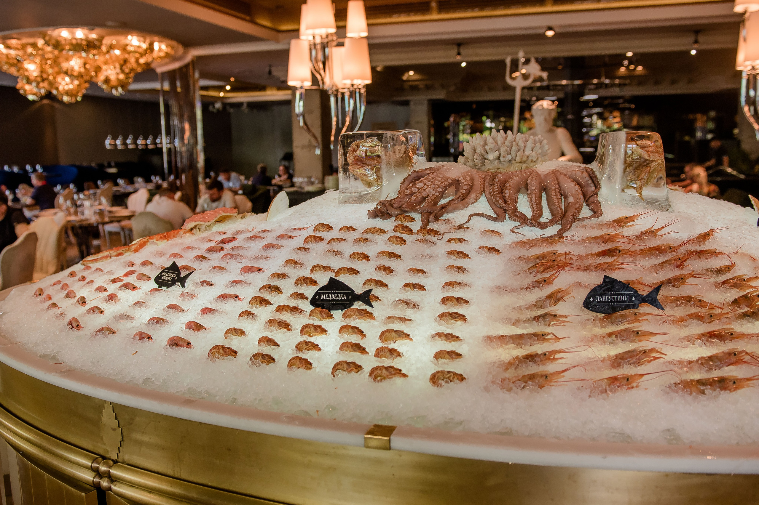 Интерьеры Ресторанов г. Москва. Фотограф в Москве