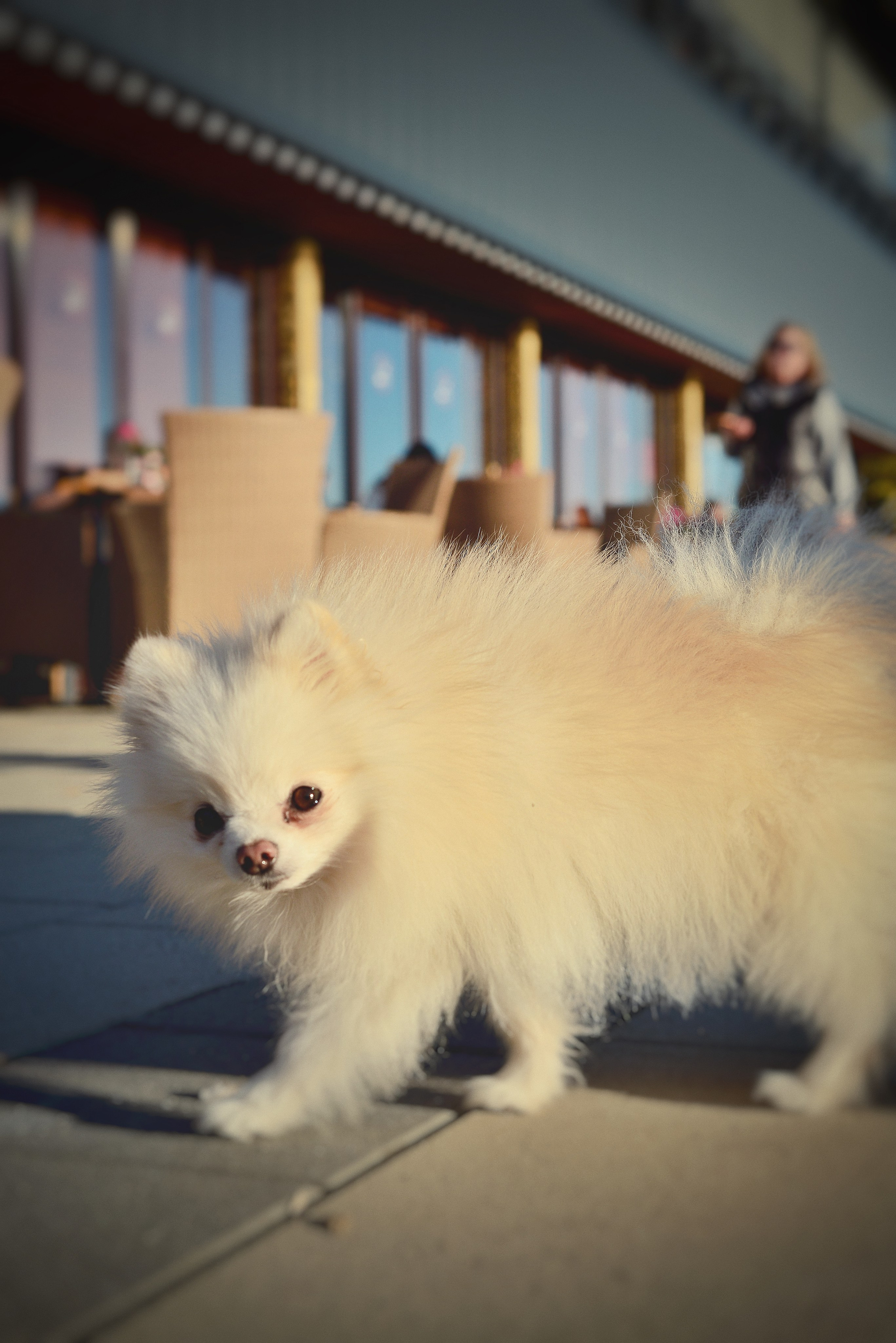 Животные. Фотограф • Елена Миронова