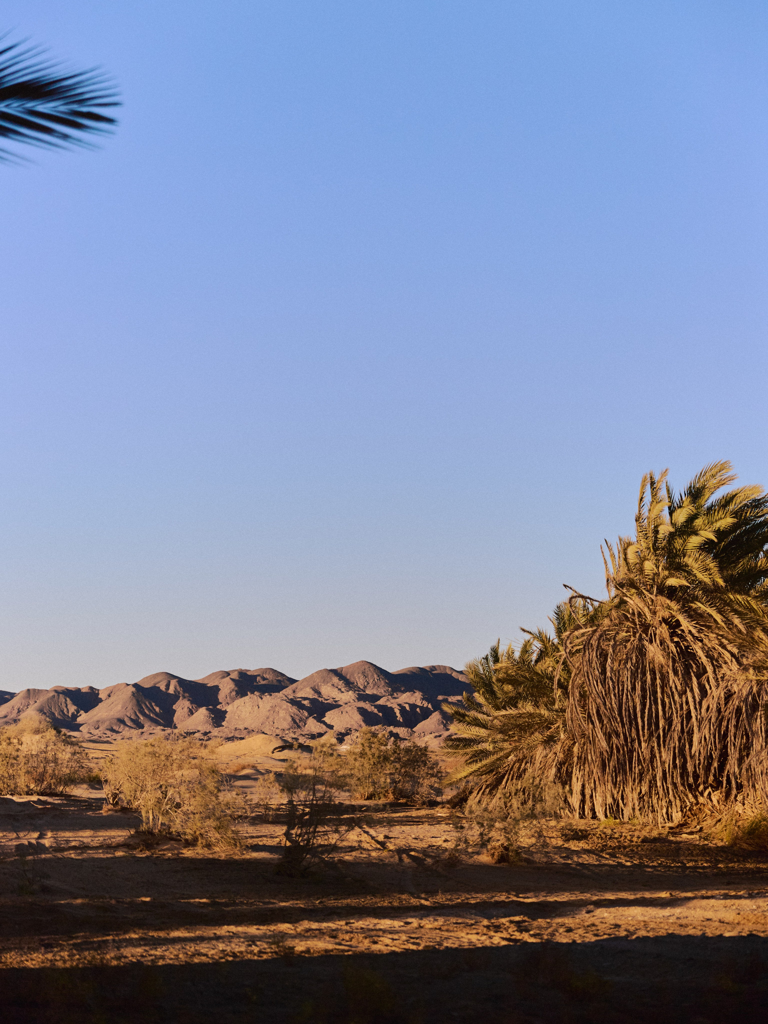 Природа. Jorgis Talè — photographer, kind person, teacher of arts and other mag