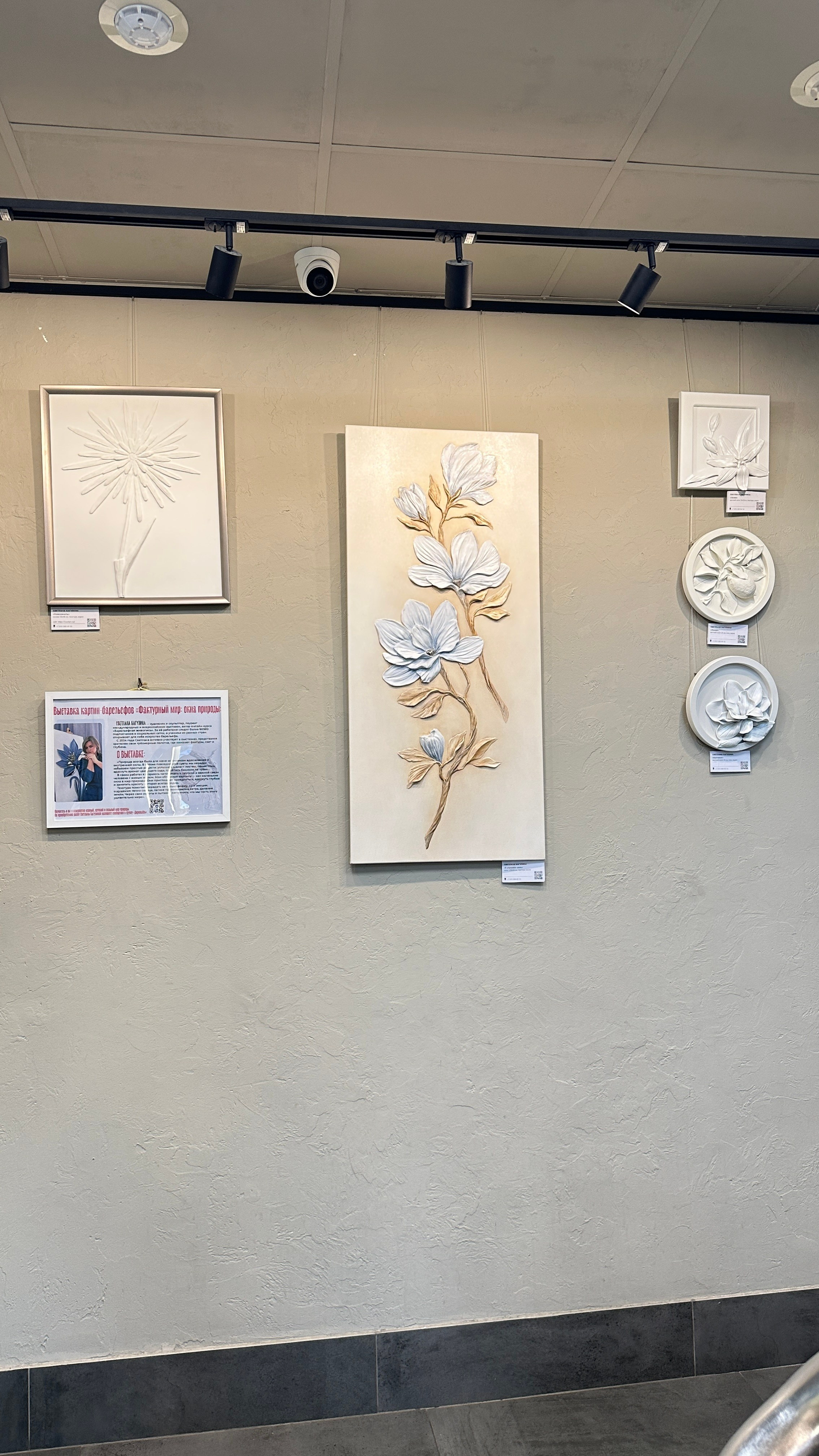 Достижения. Художник Светлана Багулина