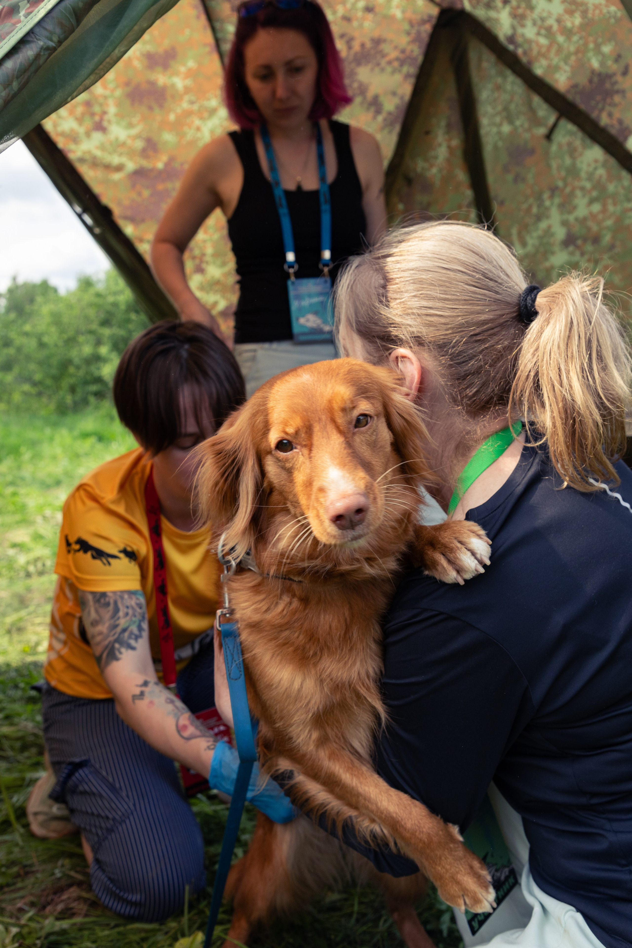ДПСО «ЛизаАлерт». Главная