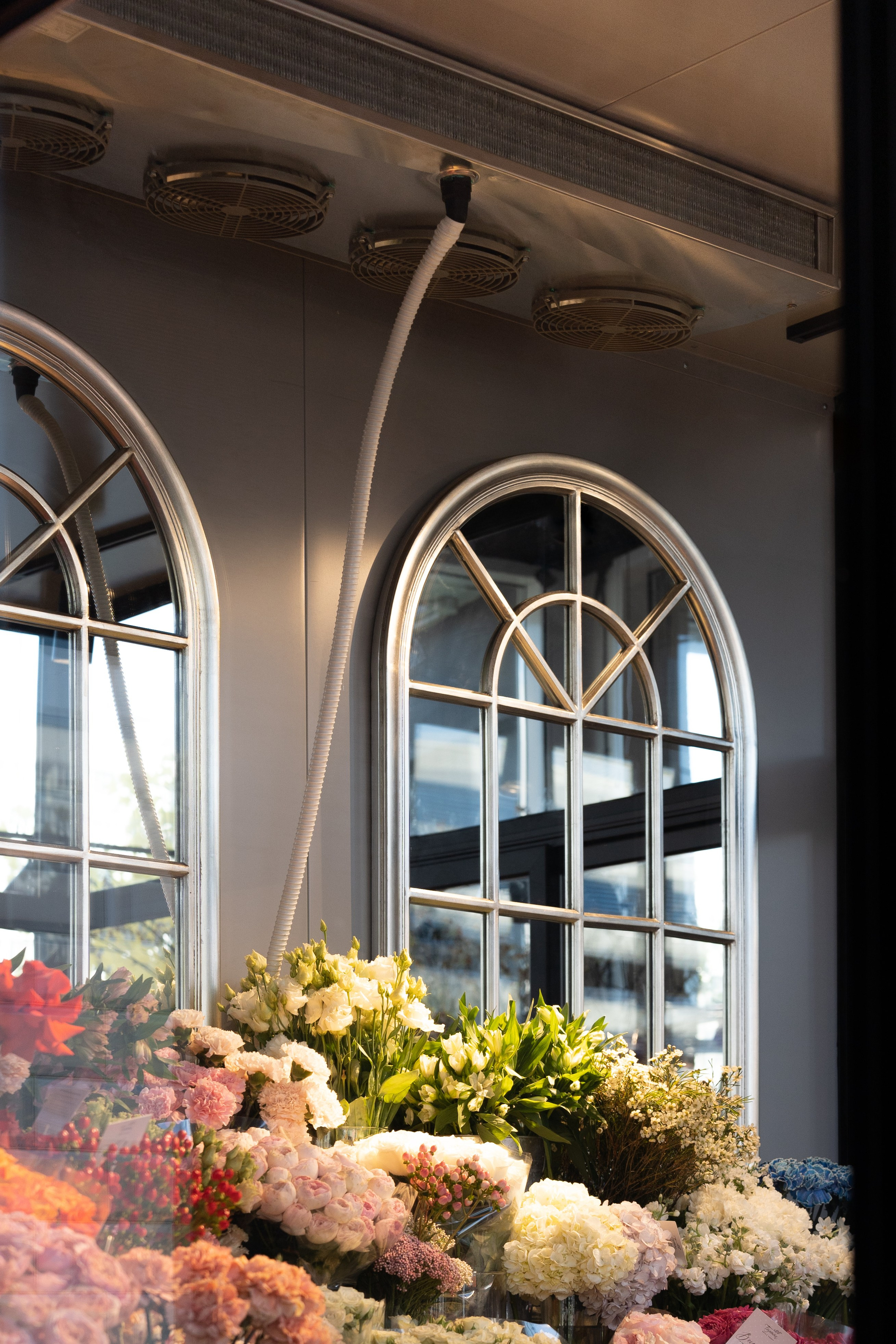 Регион холод. Елена Пашкевич, фотограф, Москва