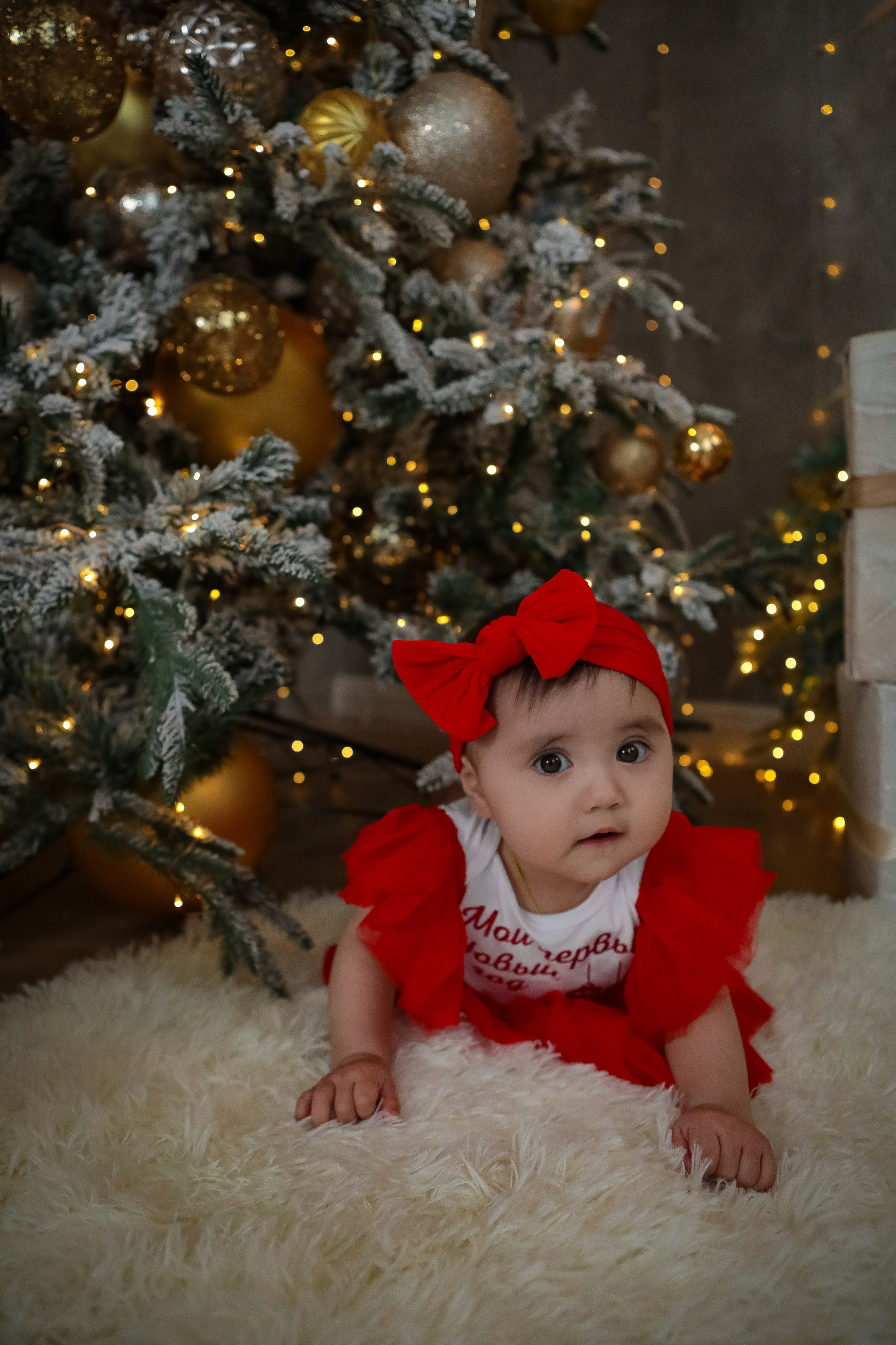 НОВОГОДНИЕ ФОТОСЕССИИ 2025-2026. Фотограф г. Хабаровск. Семейные и индивидуальные съёмки