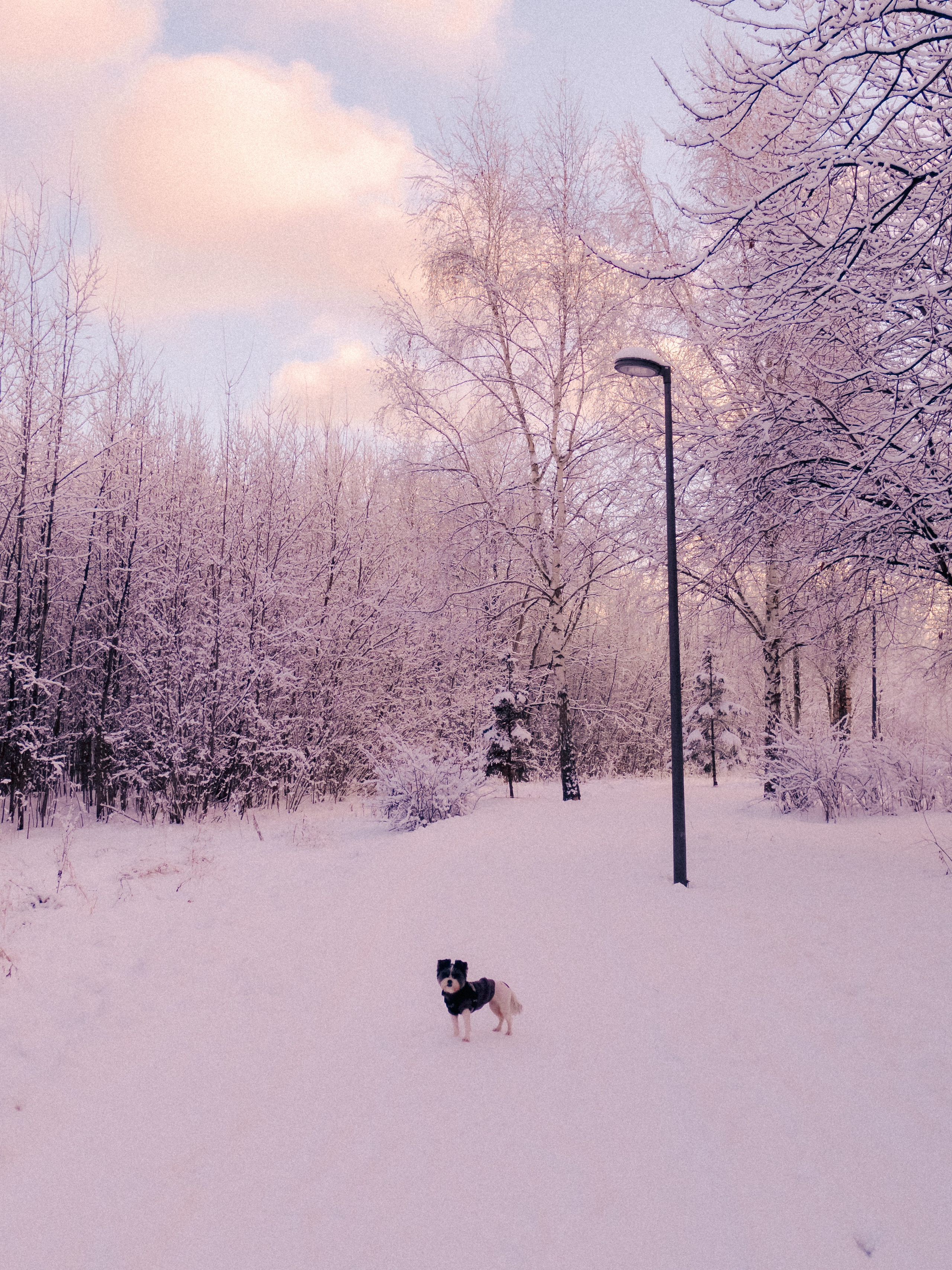 Зимняя сказка. Фёдор Малюгин. Ваш бади в визуале