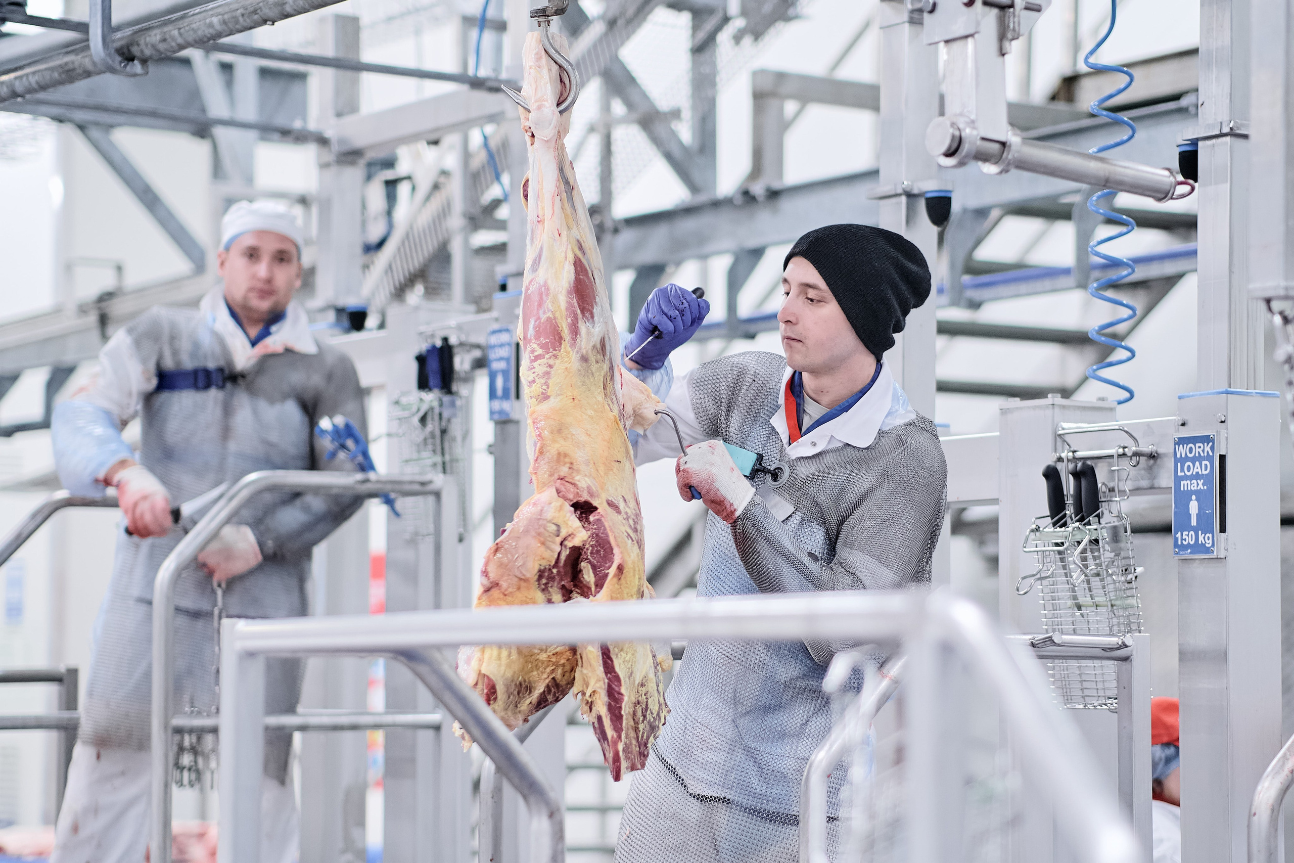 Фотограф на мероприятие. Light Media — креативный видеопродакшн