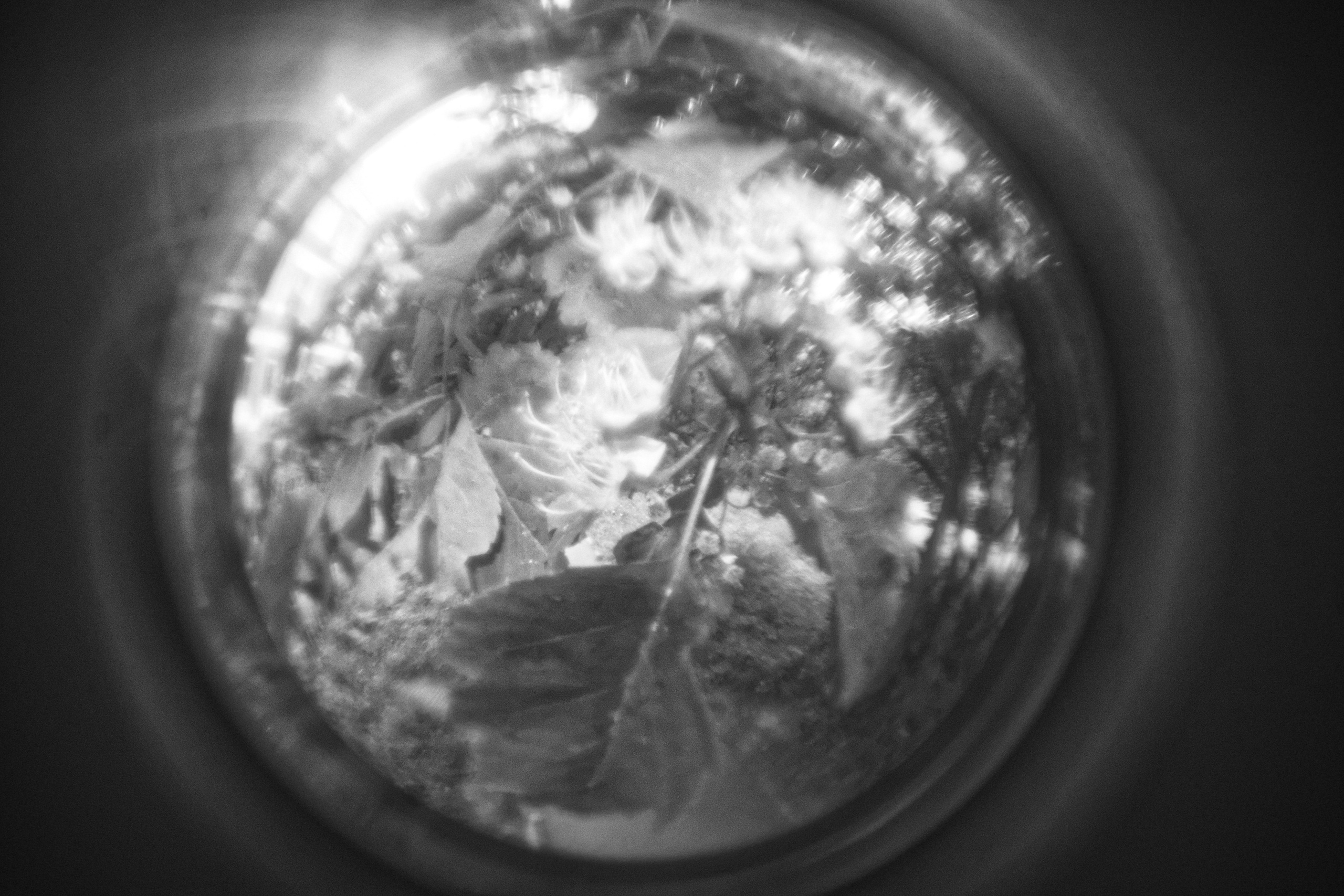 Bardo / Астигматическая ловушка для снов. Роман Ходырев — художник, фотограф, музыкант, эзотериолог. Санкт-Петербург, Рига