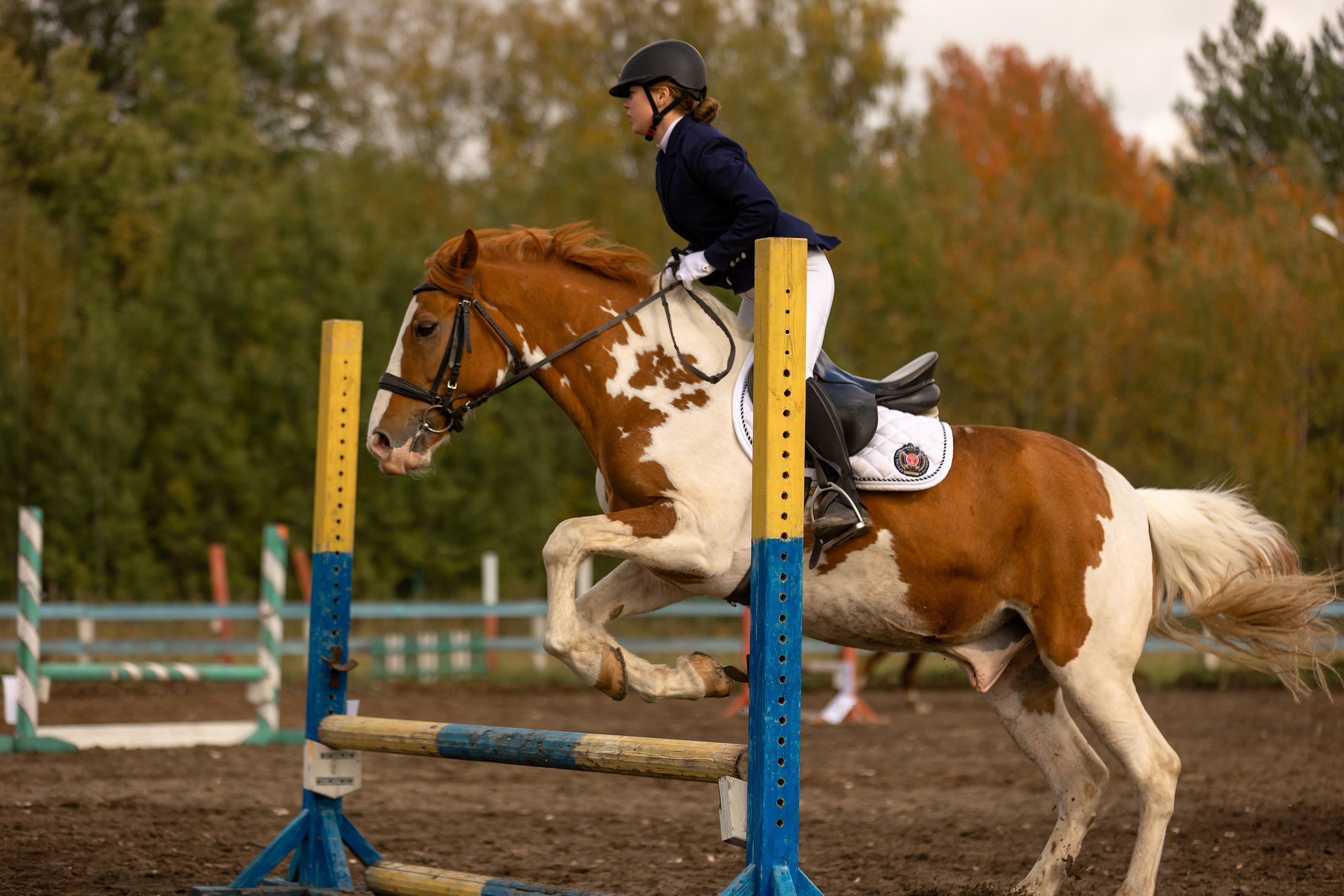 Соревнования по конному спорту. Конный фотограф Валынкина Лера
