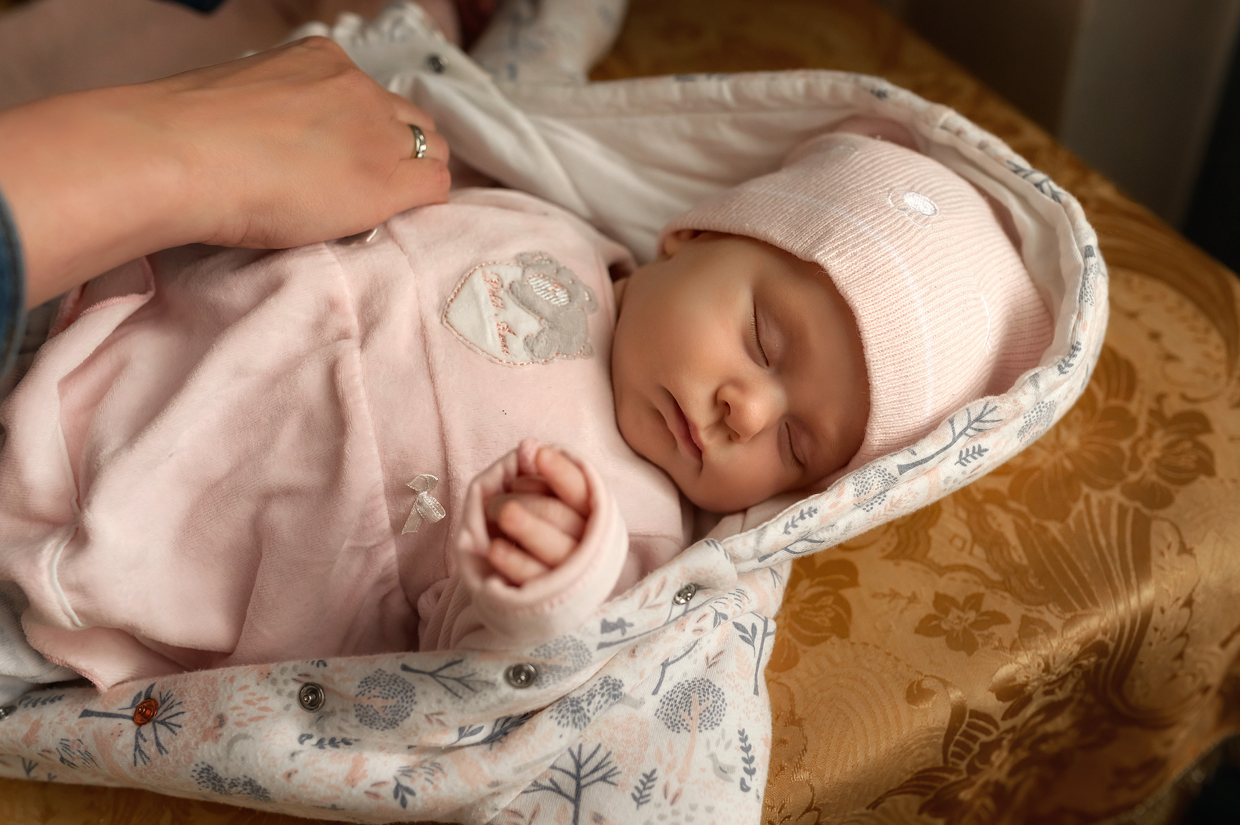 Андреевский собор. Фотограф на Крещение в Санкт-Петербурге