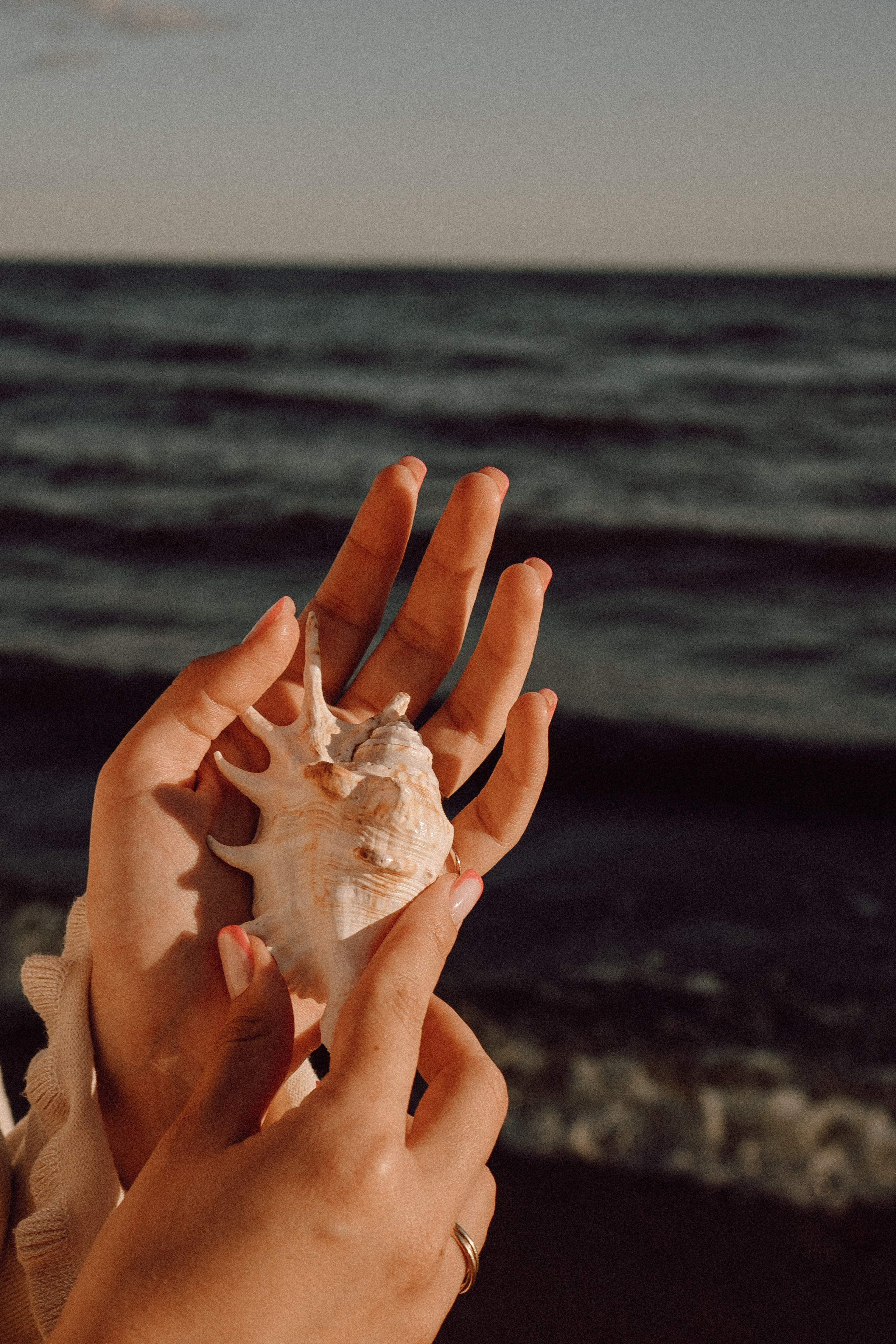 РОМАНТИКА ФИНСКОГО ЗАЛИВА. Профессиональный фотограф, Санкт-Петербург — Виктория Богомолова