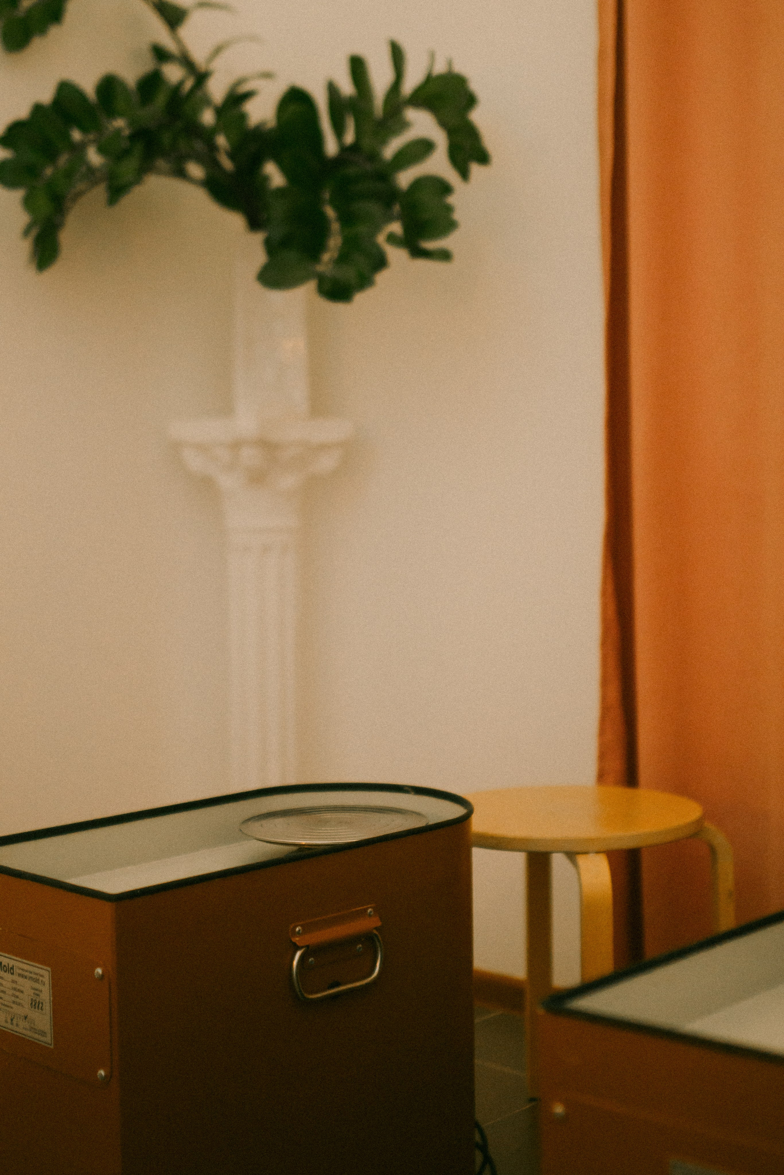 ТУК-ТУК. Портретный фотограф в Москве Ефанова Ульяна. Женский портрет