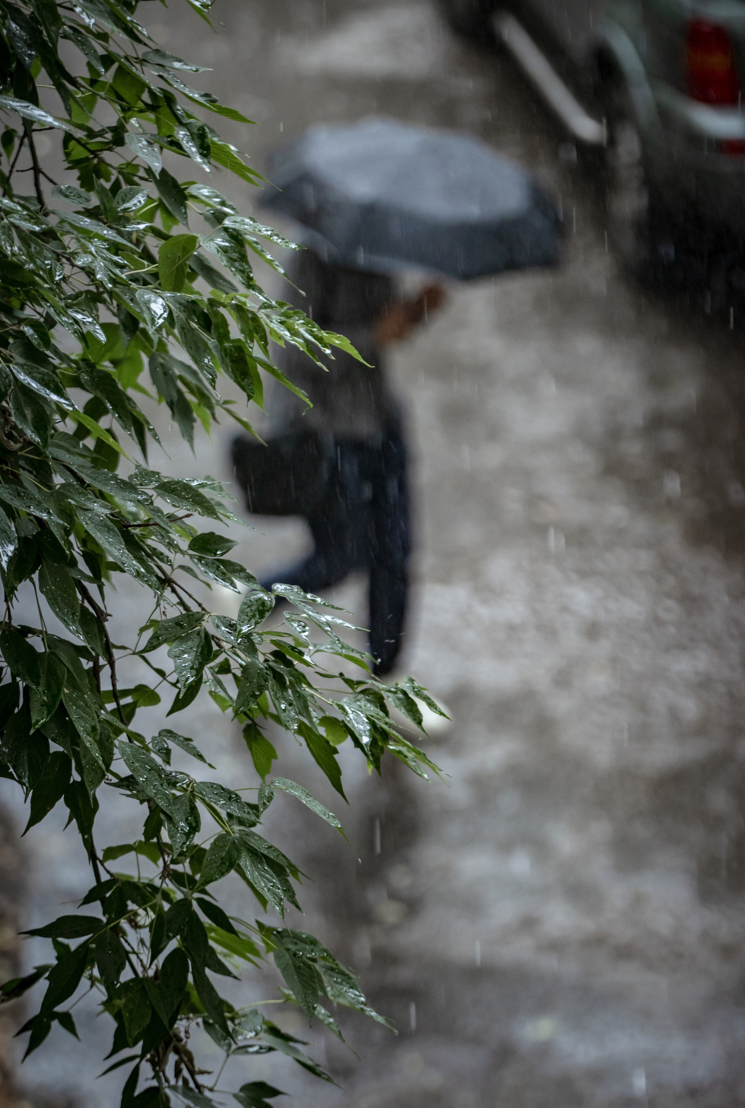 STREET. NE Cinema — backstage and reportage photography in cinema, music, Automotive and sport