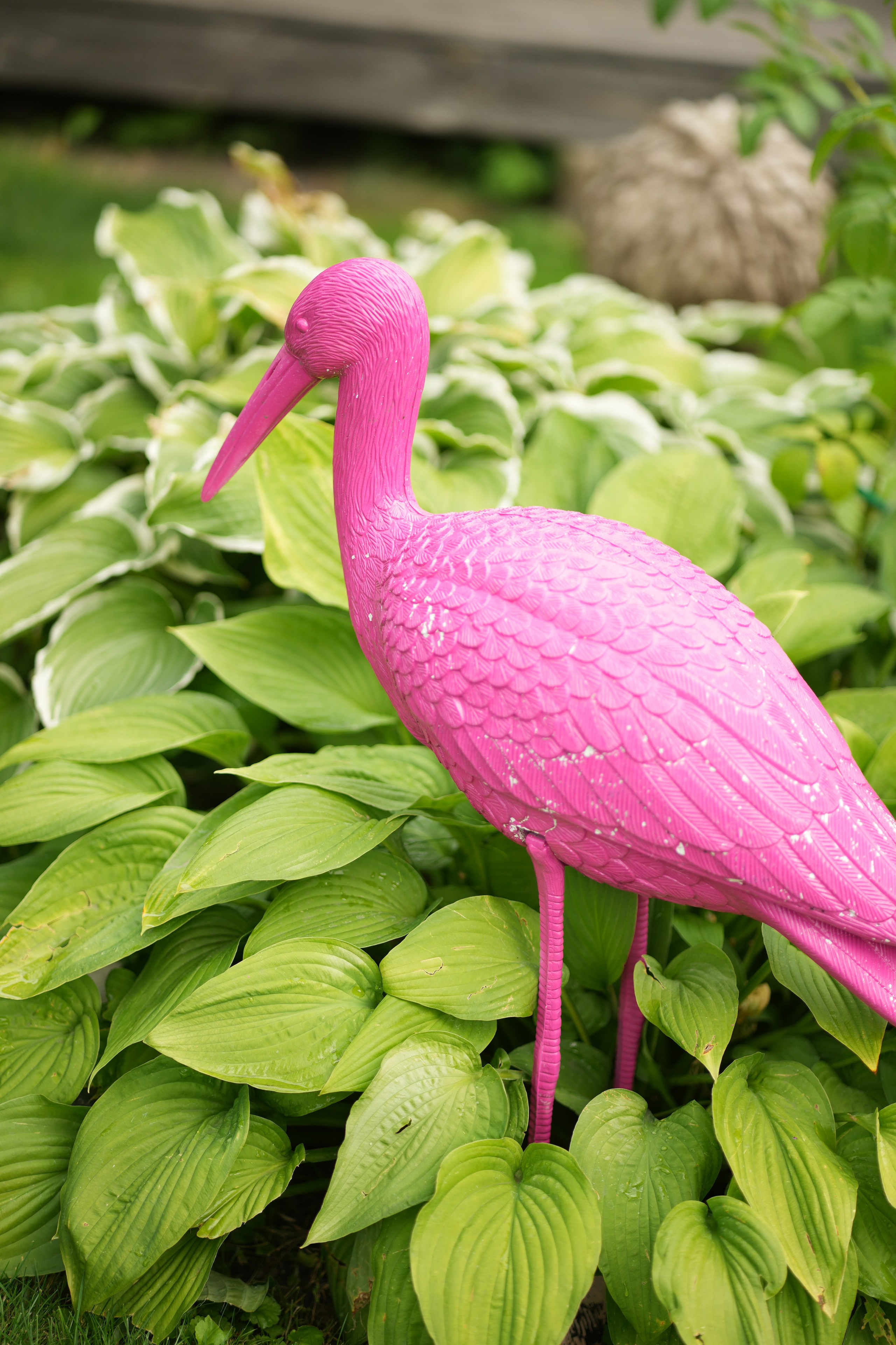 Час 1500 пример фотосессии пакет «ФОТО НА ПАМЯТЬ» (без обработки). Фотограф Нижний Новгород Татьяна Кэйод